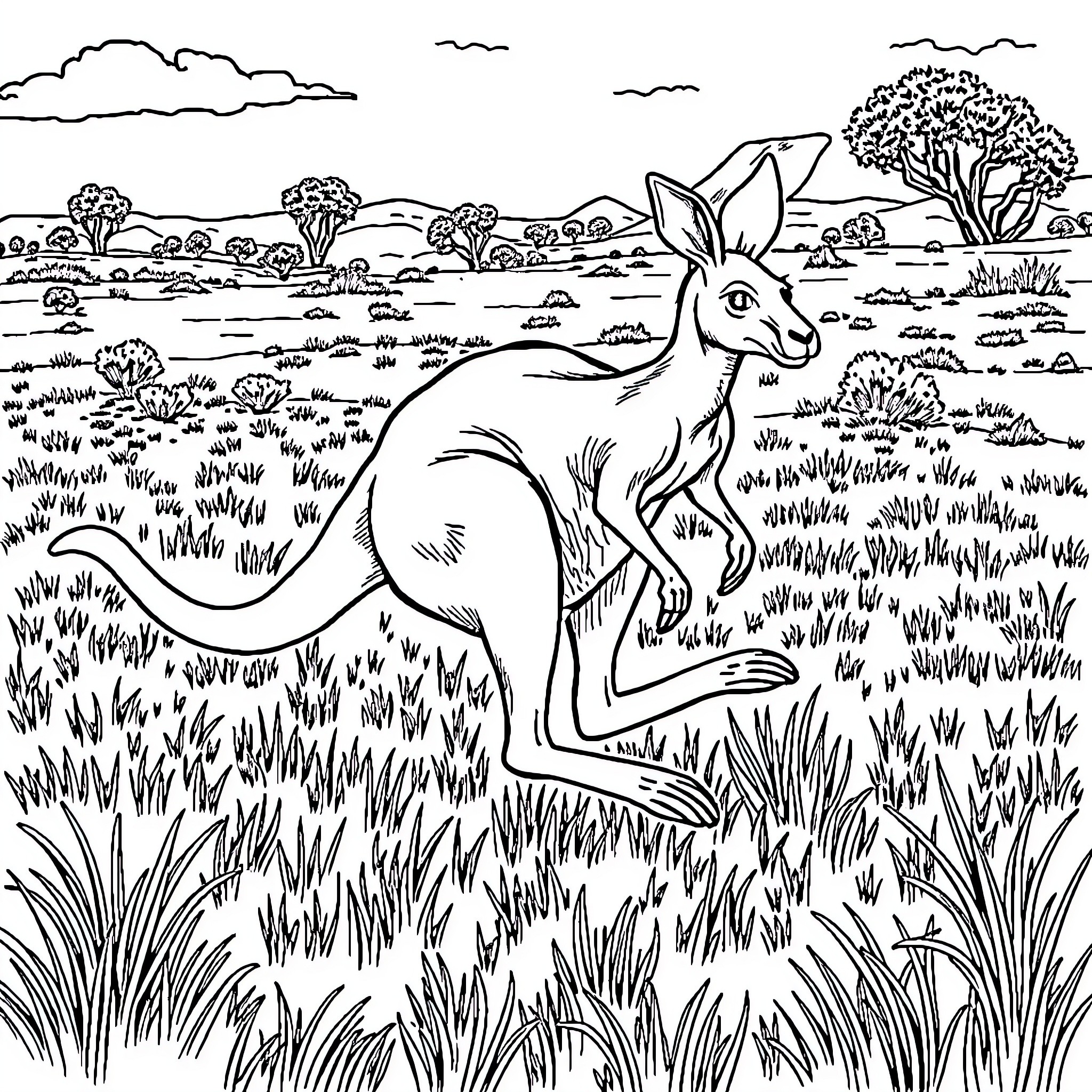 Kangaroo hopping through the serene grassland Coloring Page (free black-and-white line drawing printable PDF for all, from beginners to advanced learners, including children, teens, adults, and seniors)