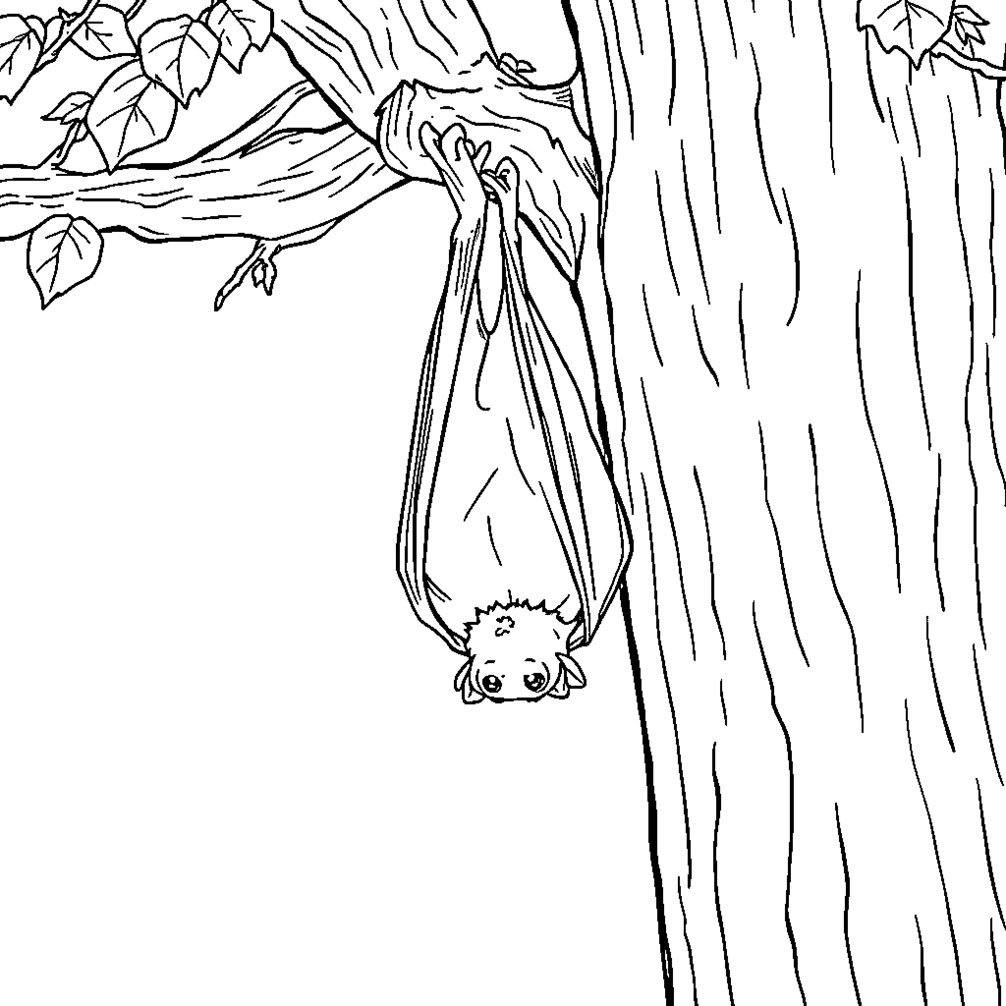 Bat hanging upside down in a tree Coloring Page (free black-and-white line drawing printable PDF for all, from beginners to advanced learners, including children, teens, adults, and seniors)
