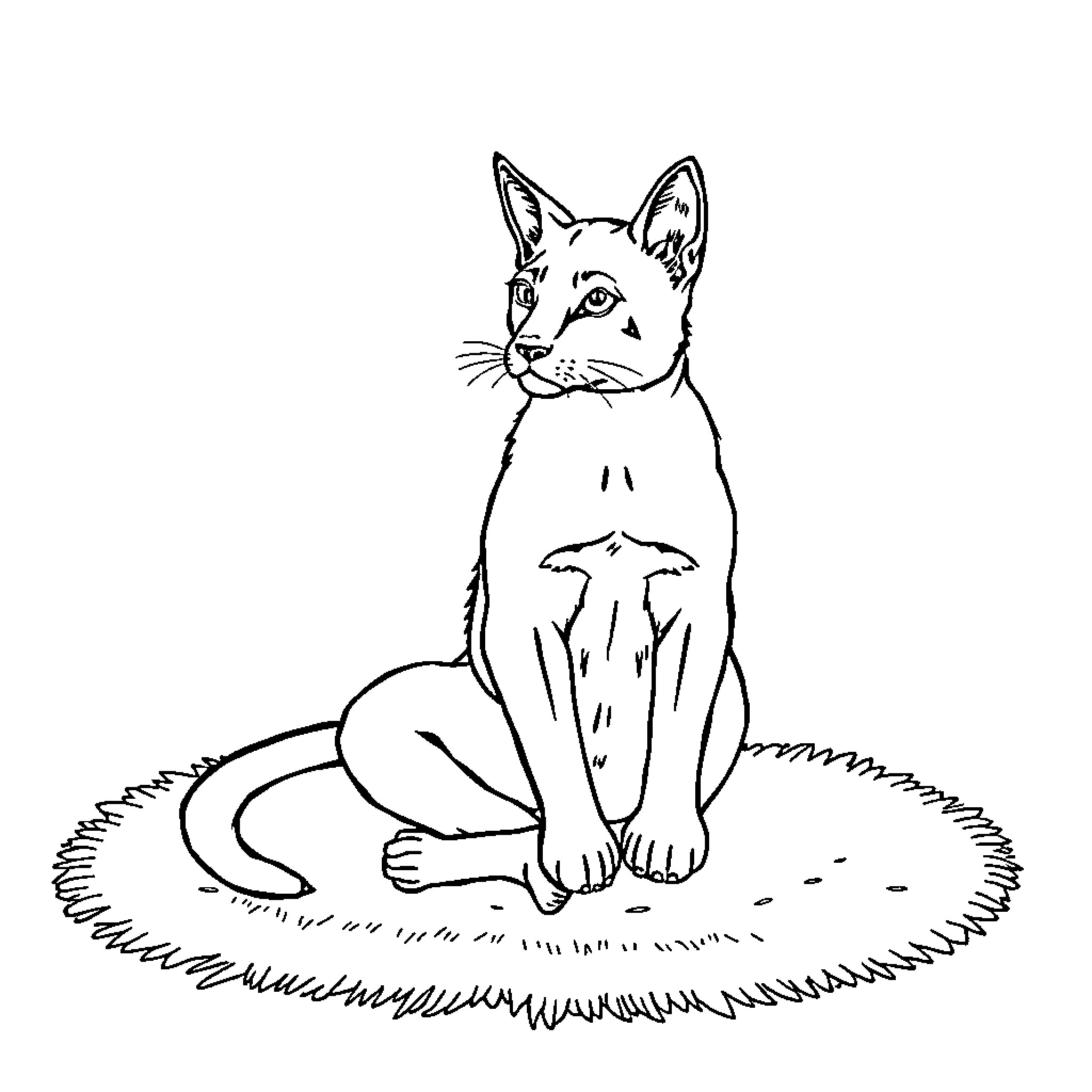 Malakai Black sitting on a grassy area Coloring Page (free black-and-white line drawing printable PDF for all, from beginners to advanced learners, including children, teens, adults, and seniors)
