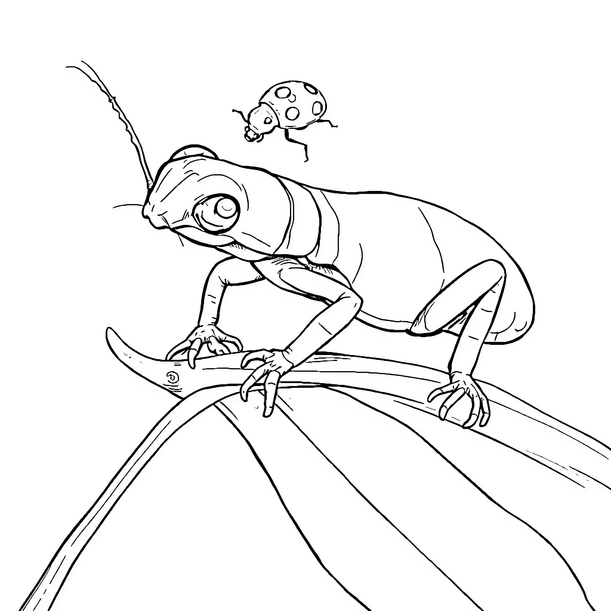 Frog resting calmly on leaf Coloring Page (free black-and-white line drawing printable PDF for all, from beginners to advanced learners, including children, teens, adults, and seniors)