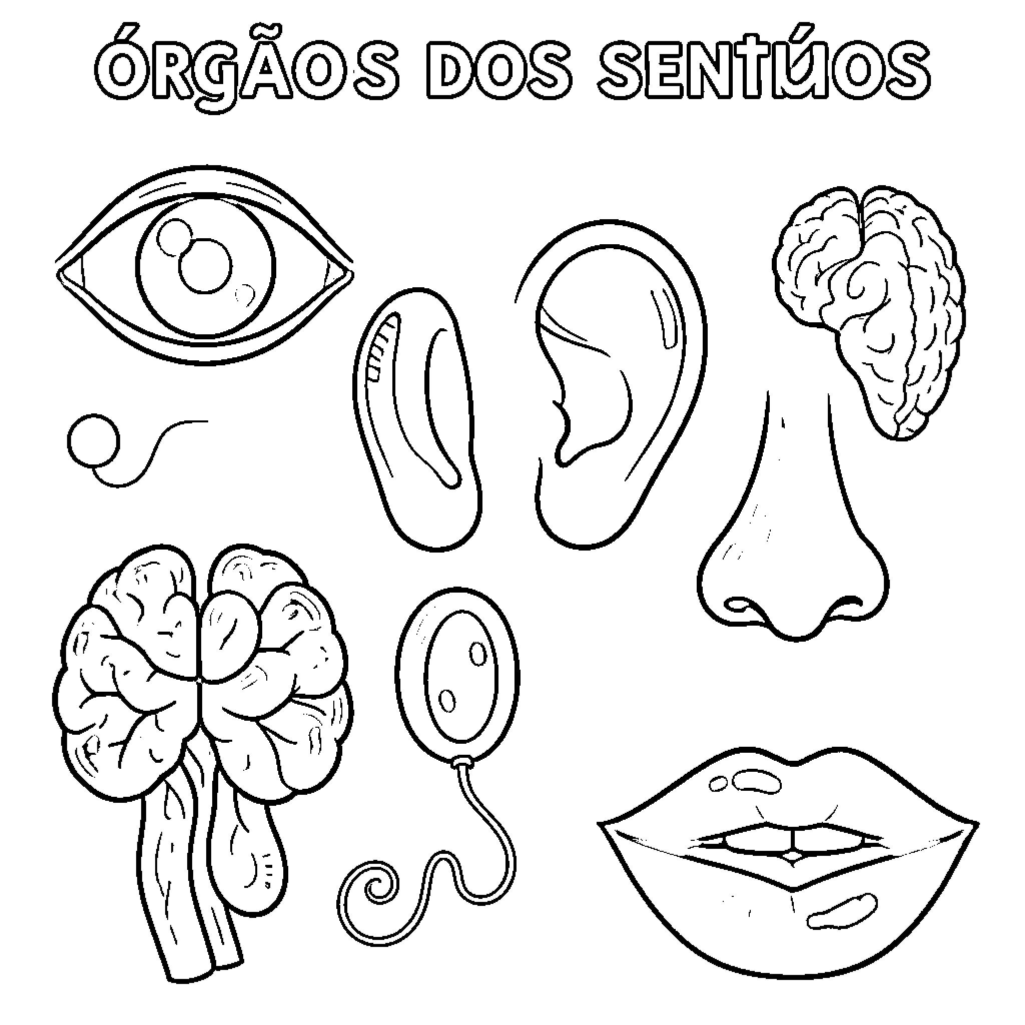 Sense Organs Illustrated in Outline Coloring Page (free black-and-white line drawing printable PDF for all, from beginners to advanced learners, including children, teens, adults, and seniors)