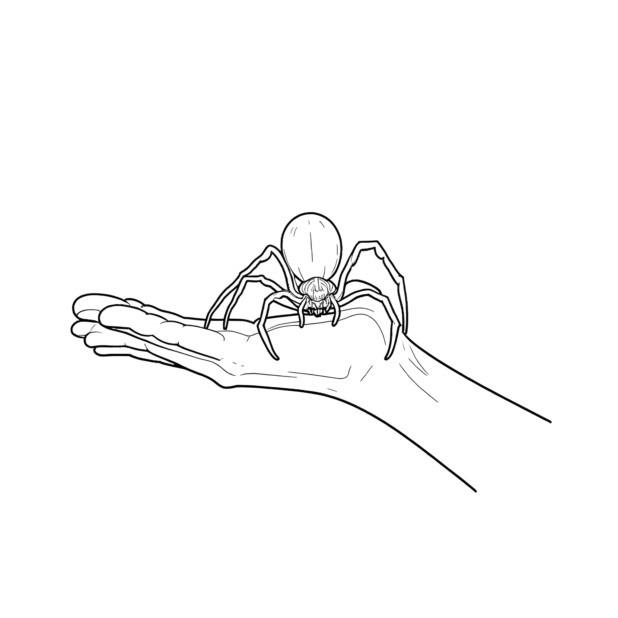 Spider crawling on a hand Coloring Page (free black-and-white line drawing printable PDF for all, from beginners to advanced learners, including children, teens, adults, and seniors)
