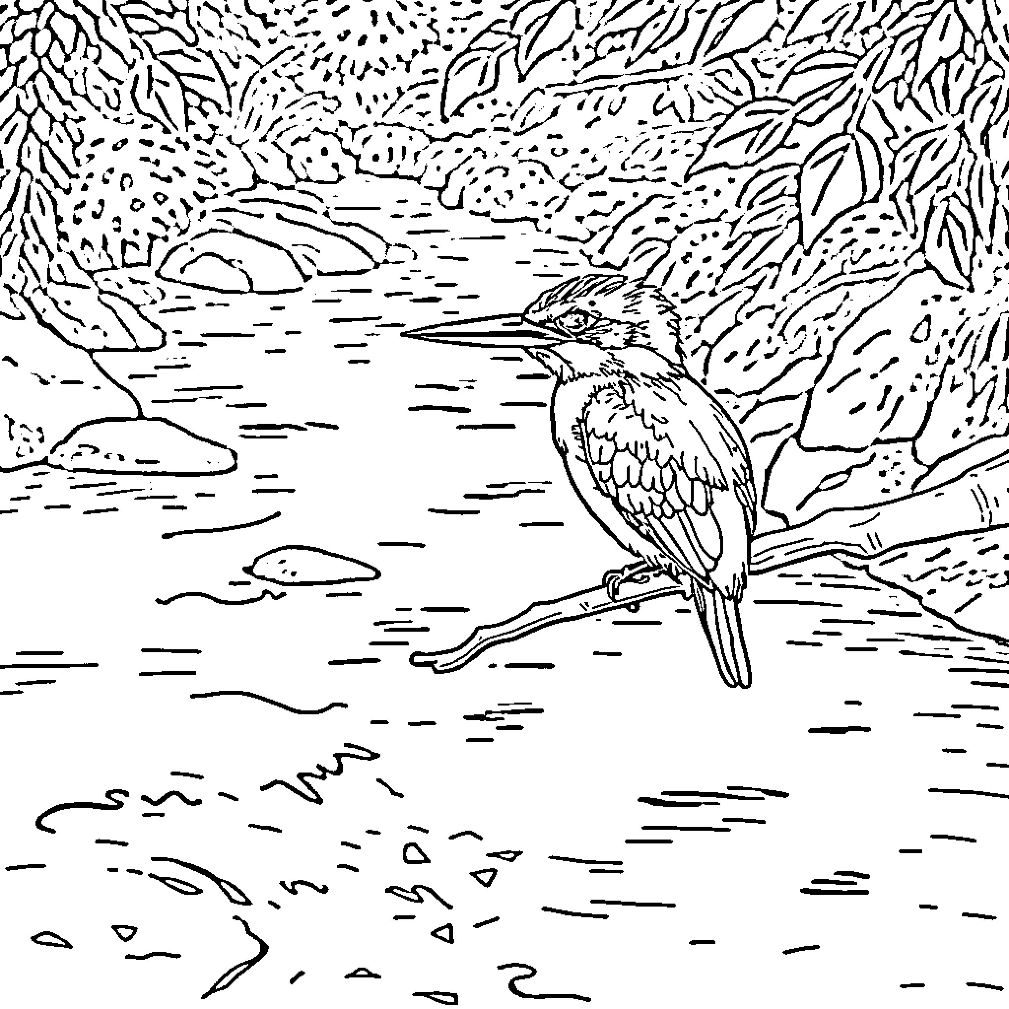 Kingfisher perched on riverbank amid foliage Coloring Page (free black-and-white line drawing printable PDF for all, from beginners to advanced learners, including children, teens, adults, and seniors)