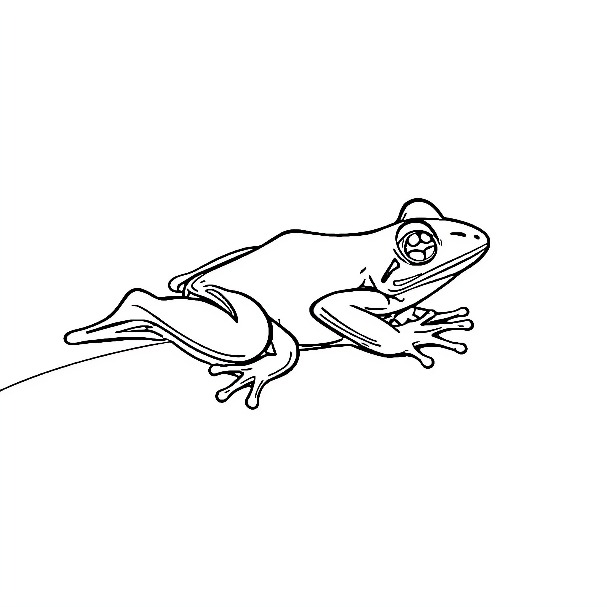 Frog resting on a branch Coloring Page (free black-and-white line drawing printable PDF for all, from beginners to advanced learners, including children, teens, adults, and seniors)
