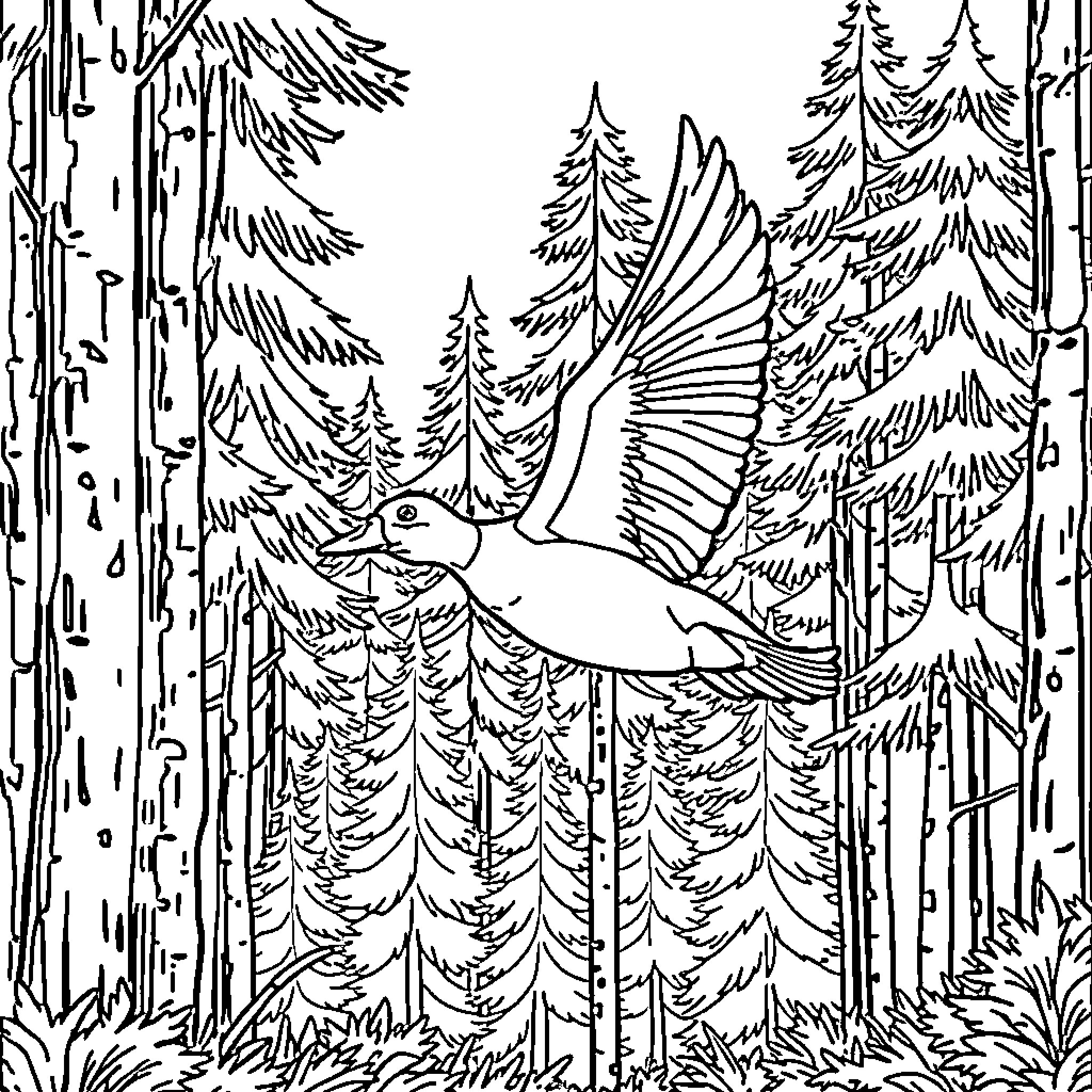 Duck soaring through enchanted forest Coloring Page (free black-and-white line drawing printable PDF for all, from beginners to advanced learners, including children, teens, adults, and seniors)