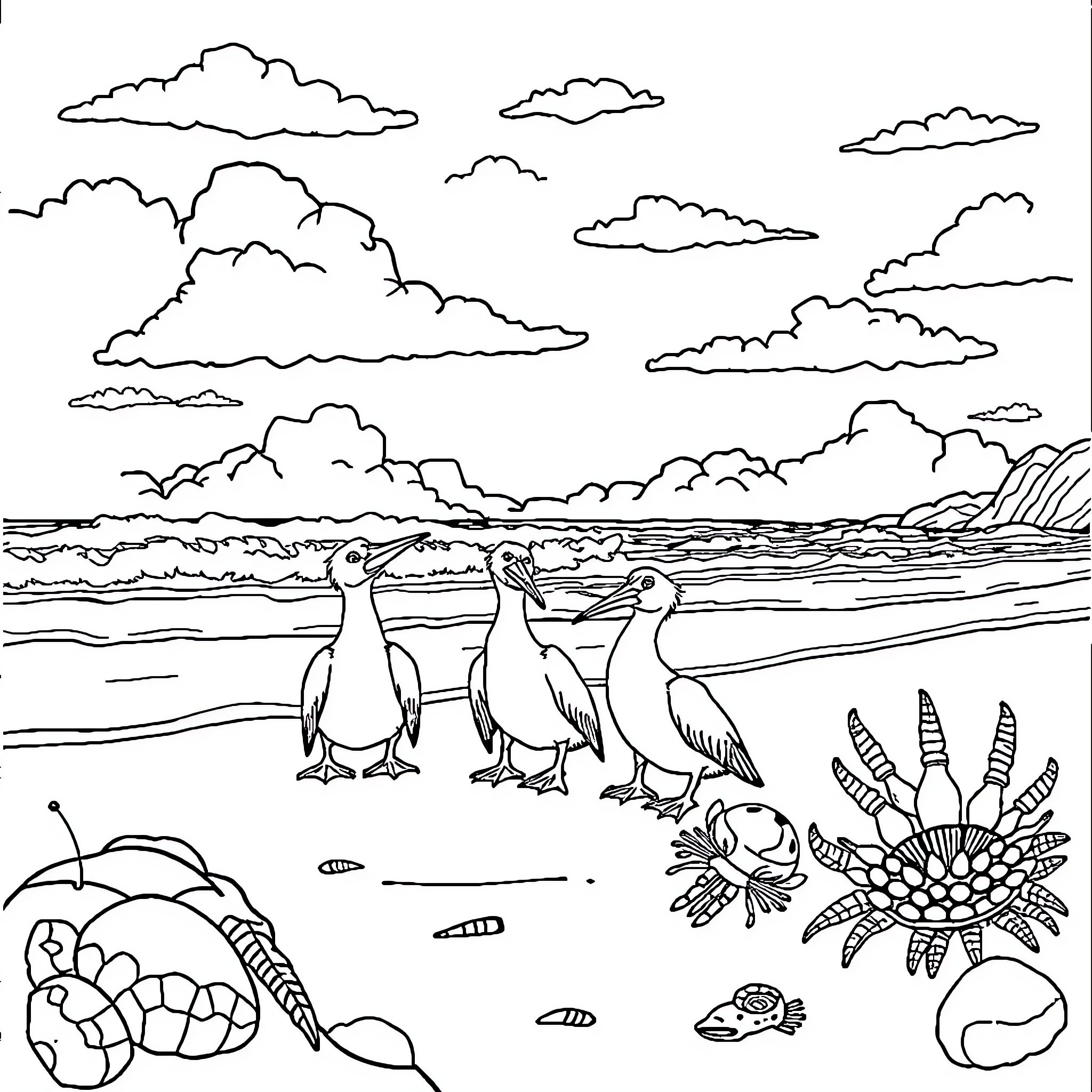 Pelicans strolling along the beach with marine life Coloring Page (free black-and-white line drawing printable PDF for all, from beginners to advanced learners, including children, teens, adults, and seniors)