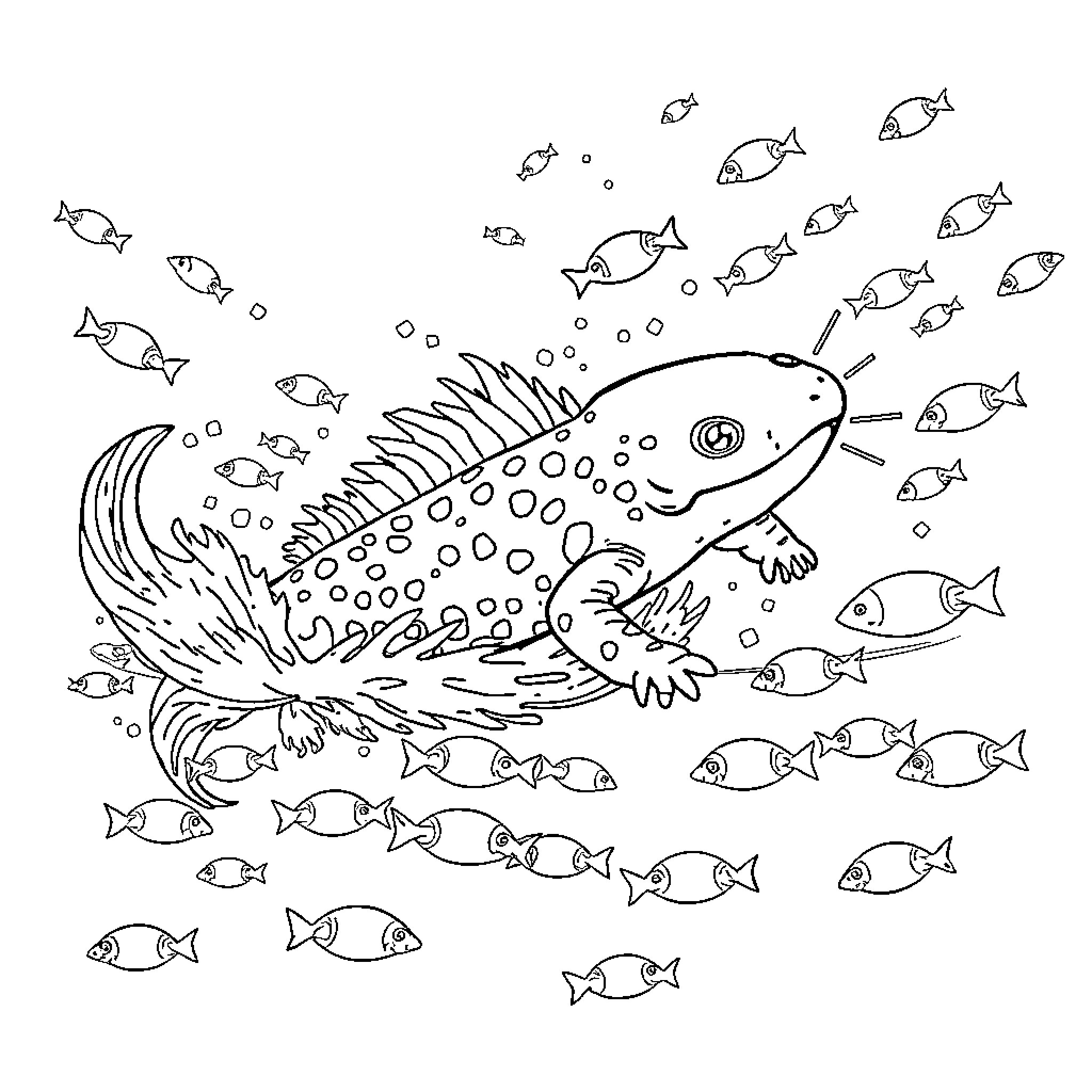 Axolotl swimming with many small fish Coloring Page (free black-and-white line drawing printable PDF for all, from beginners to advanced learners, including children, teens, adults, and seniors)
