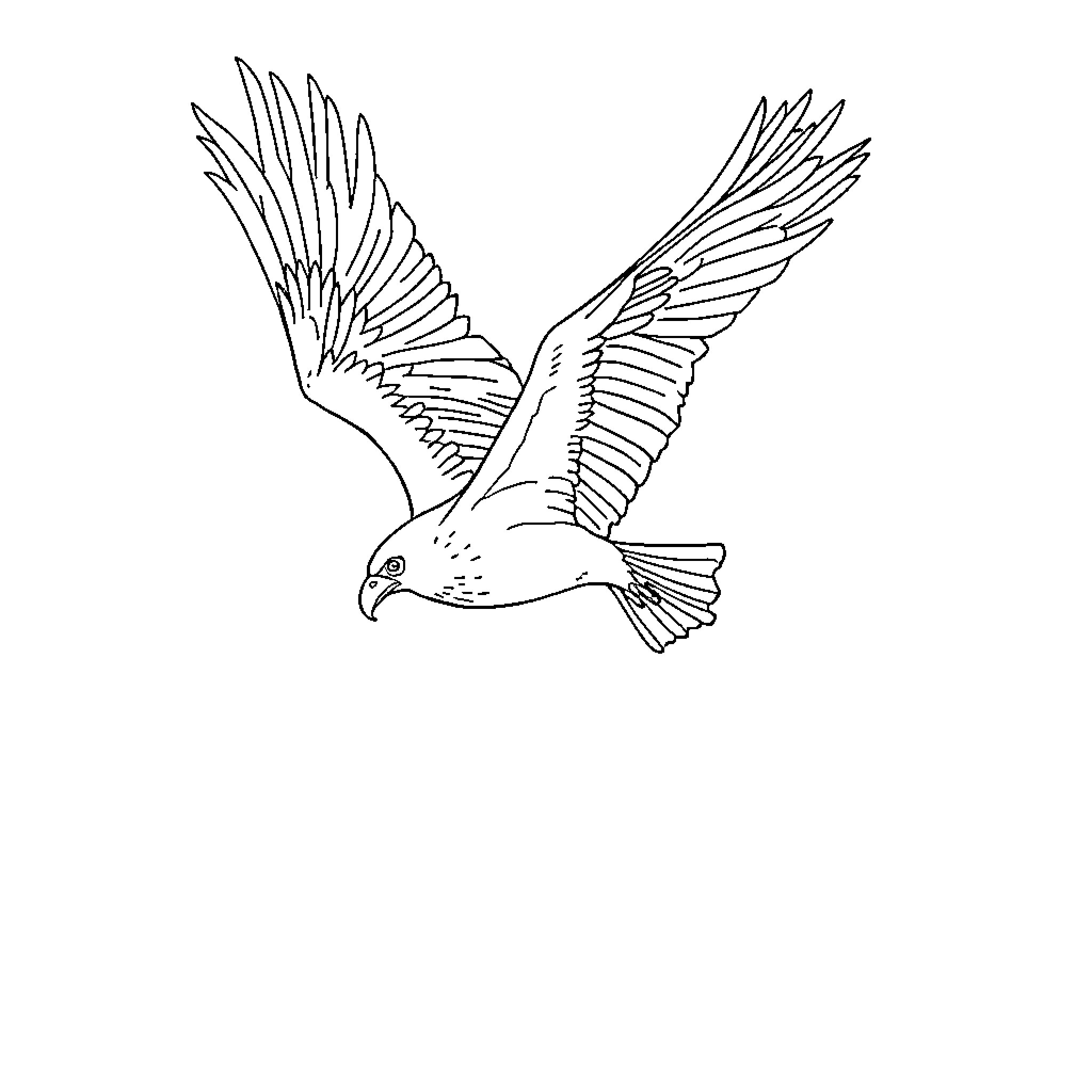 Eagle soaring with outstretched wings Coloring Page (free black-and-white line drawing printable PDF for all, from beginners to advanced learners, including children, teens, adults, and seniors)