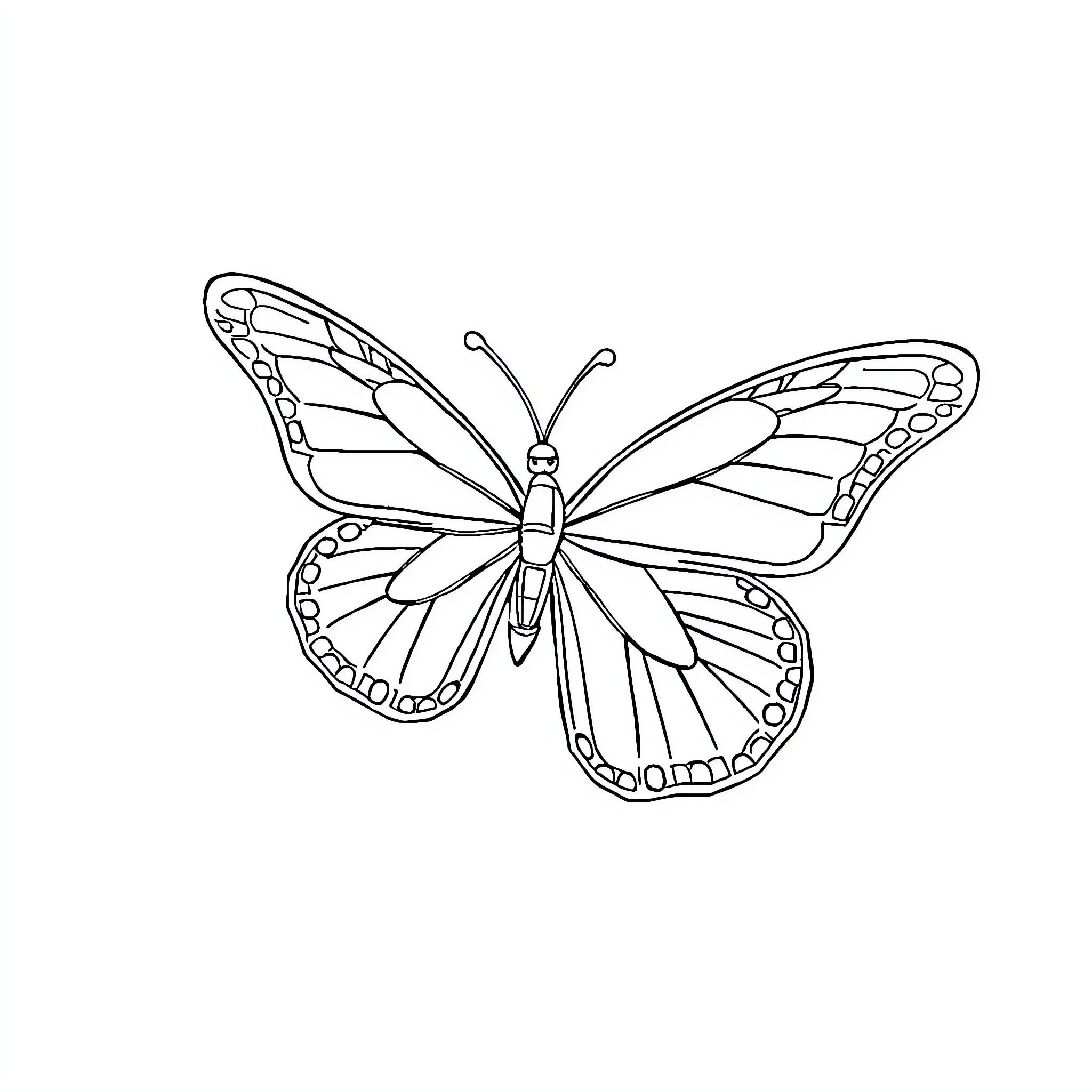 Papillon in flight with intricate wings Coloring Page (free black-and-white line drawing printable PDF for all, from beginners to advanced learners, including children, teens, adults, and seniors)