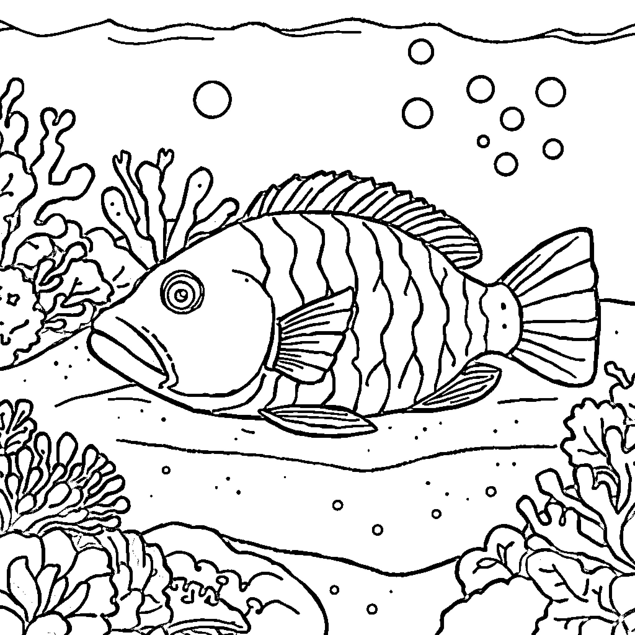 Flounder swimming amongst the coral reef Coloring Page (free black-and-white line drawing printable PDF for all, from beginners to advanced learners, including children, teens, adults, and seniors)