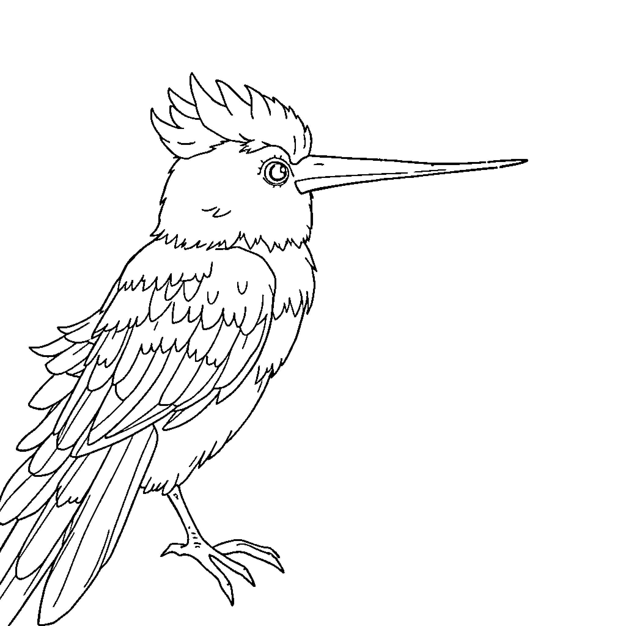 Rabbit bird with striking beak Coloring Page (free black-and-white line drawing printable PDF for all, from beginners to advanced learners, including children, teens, adults, and seniors)