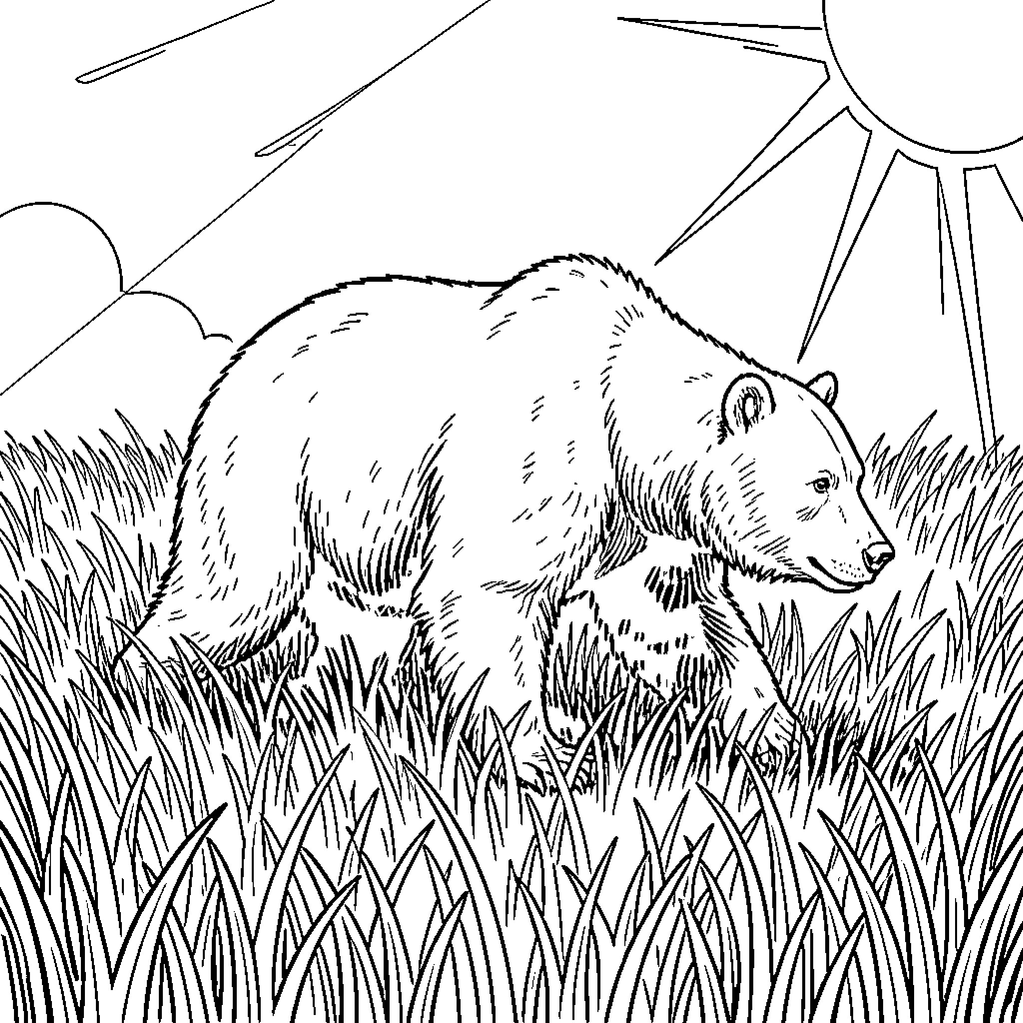 Bear resting in grassy meadow under sun Coloring Page (free black-and-white line drawing printable PDF for all, from beginners to advanced learners, including children, teens, adults, and seniors)