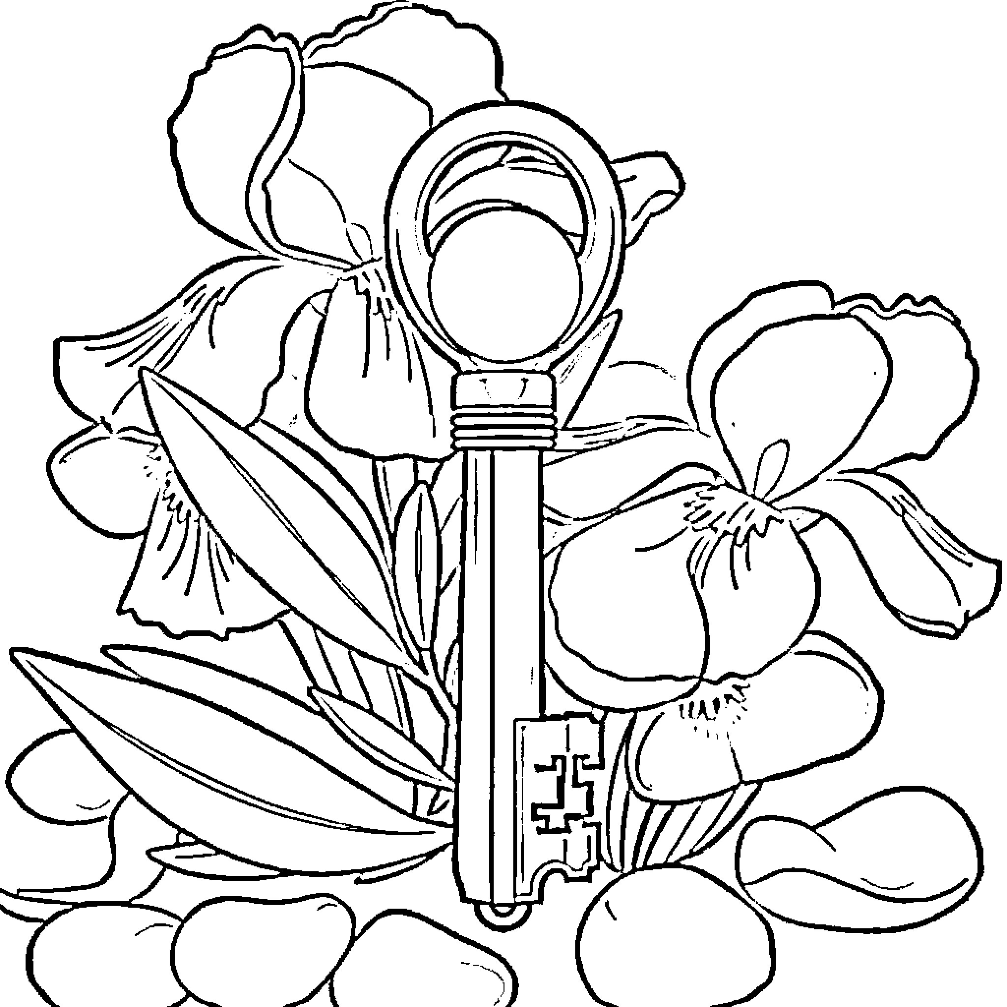 Best Key Coloring Pages (Free Printable PDF)