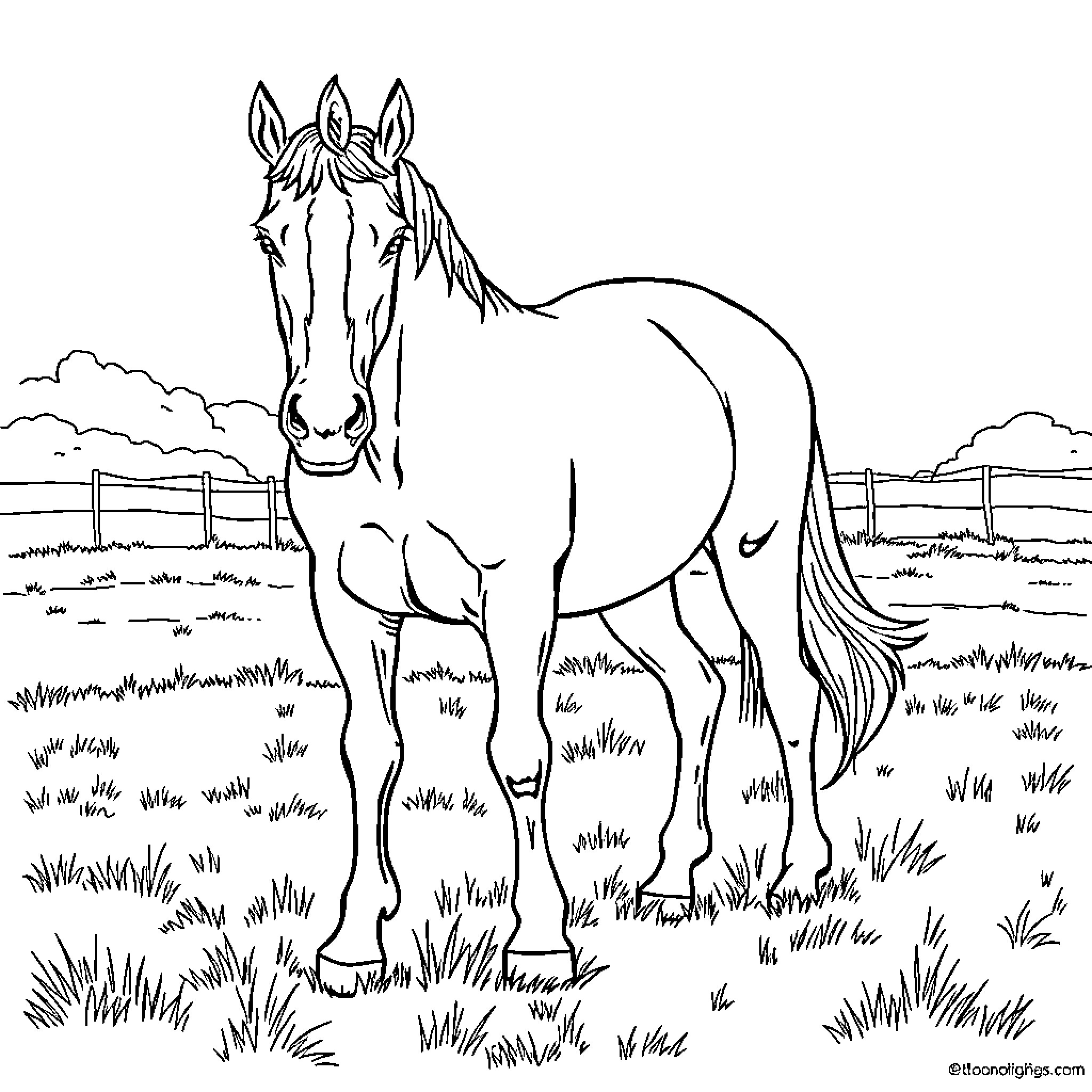 Broncho standing majestically in a field Coloring Page (free black-and-white line drawing printable PDF for all, from beginners to advanced learners, including children, teens, adults, and seniors)