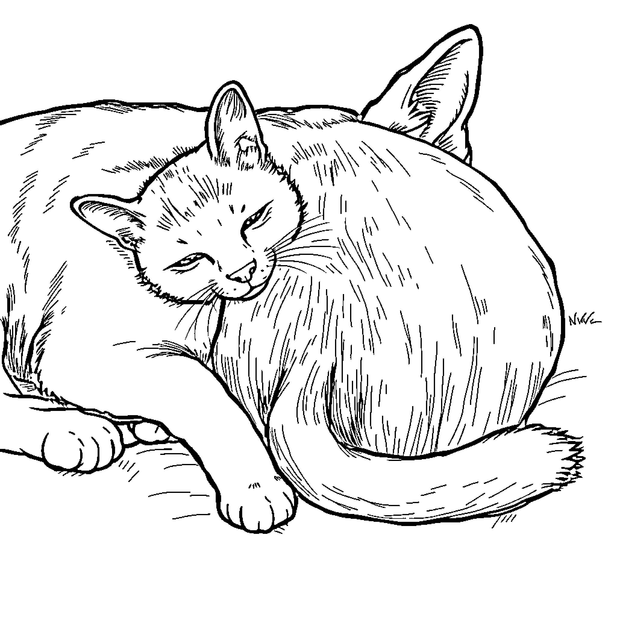 Cat curled up and resting peacefully Coloring Page (free black-and-white line drawing printable PDF for all, from beginners to advanced learners, including children, teens, adults, and seniors)