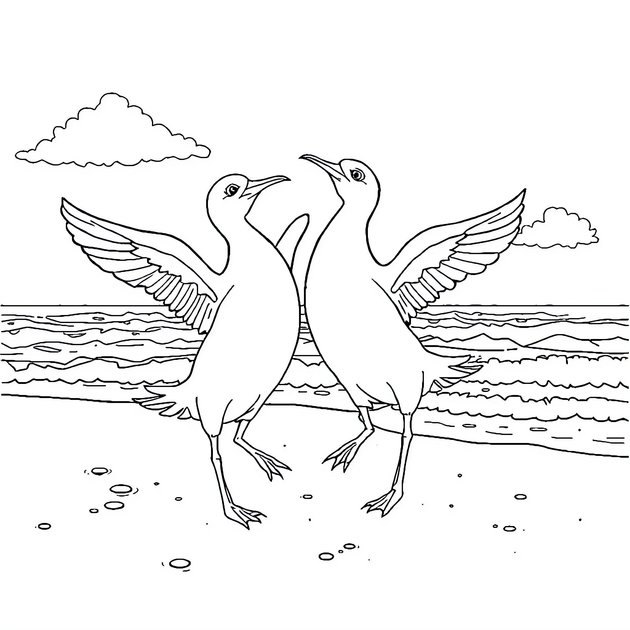 Gull birds dancing on the beach Coloring Page (free black-and-white line drawing printable PDF for all, from beginners to advanced learners, including children, teens, adults, and seniors)