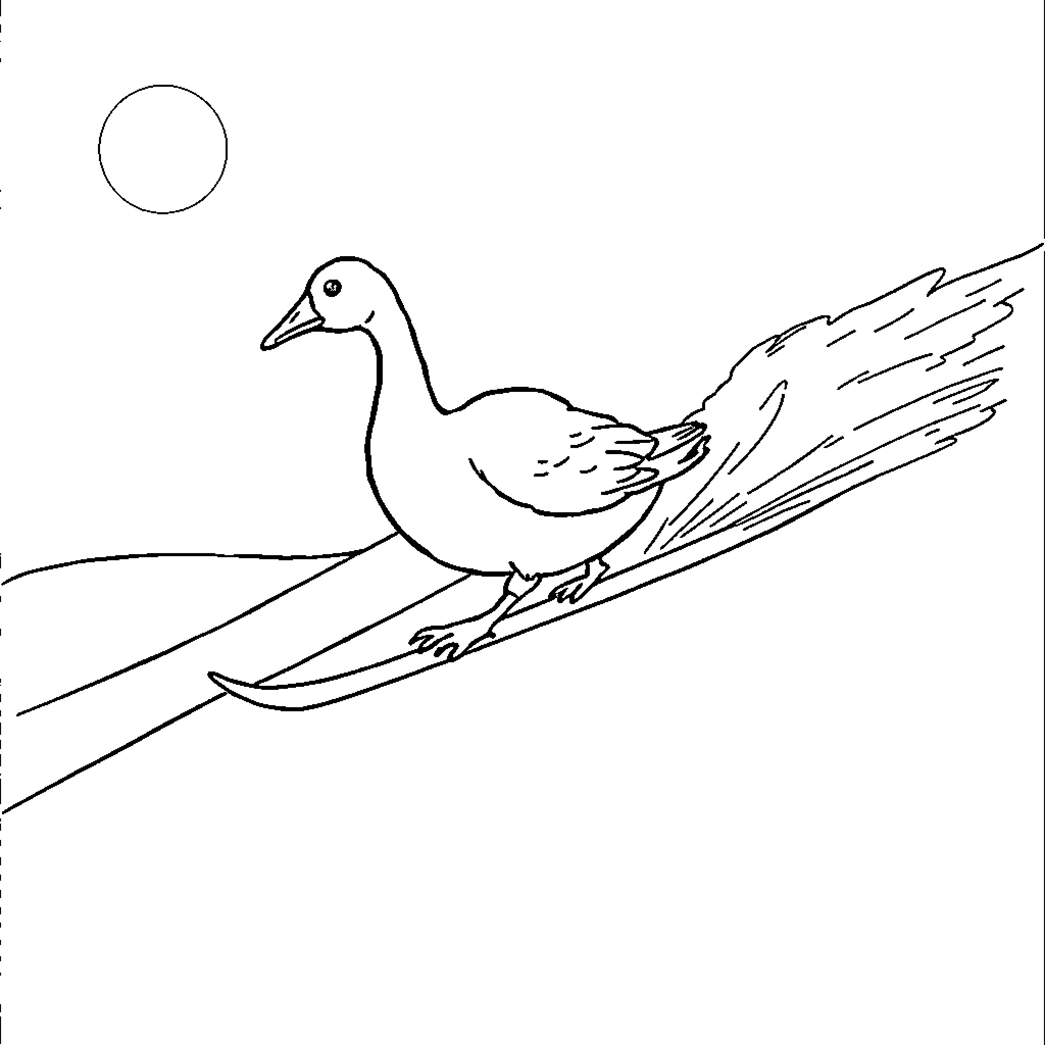 Goose gliding on a snowy slope Coloring Page (free black-and-white line drawing printable PDF for all, from beginners to advanced learners, including children, teens, adults, and seniors)