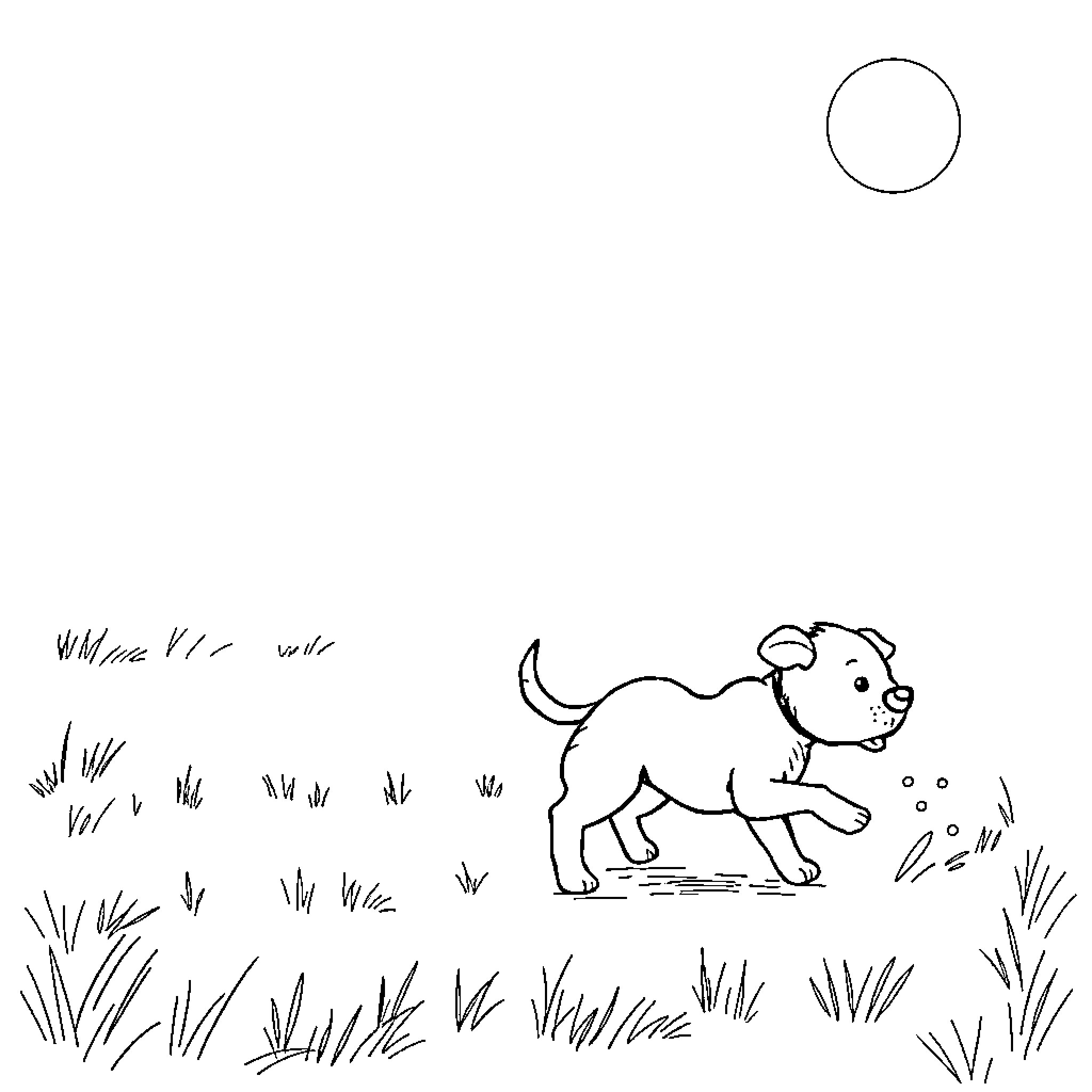 Dog exploring the outdoors Coloring Page (free black-and-white line drawing printable PDF for all, from beginners to advanced learners, including children, teens, adults, and seniors)