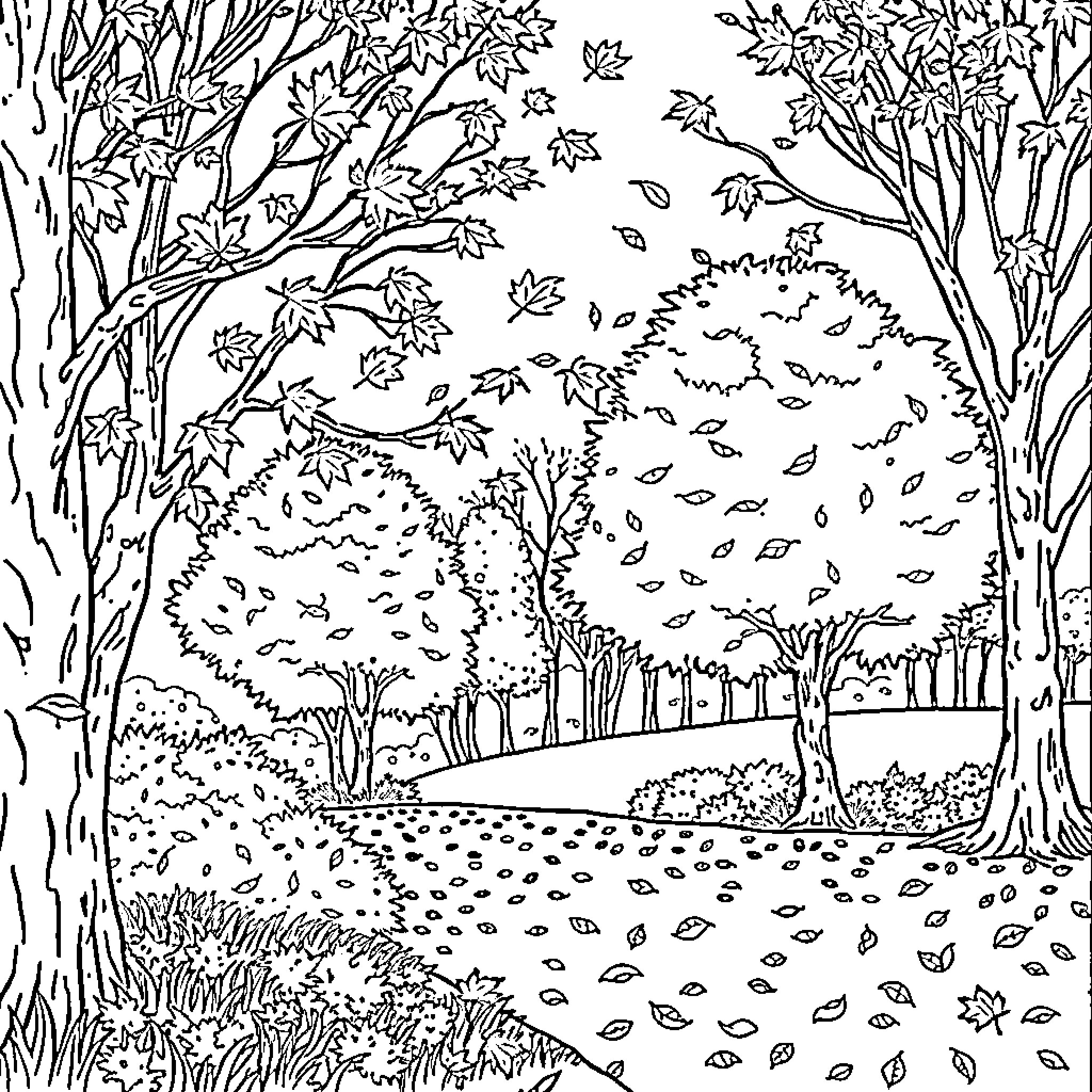Fall foliage and leaves swirling in the forest Coloring Page (free black-and-white line drawing printable PDF for all, from beginners to advanced learners, including children, teens, adults, and seniors)