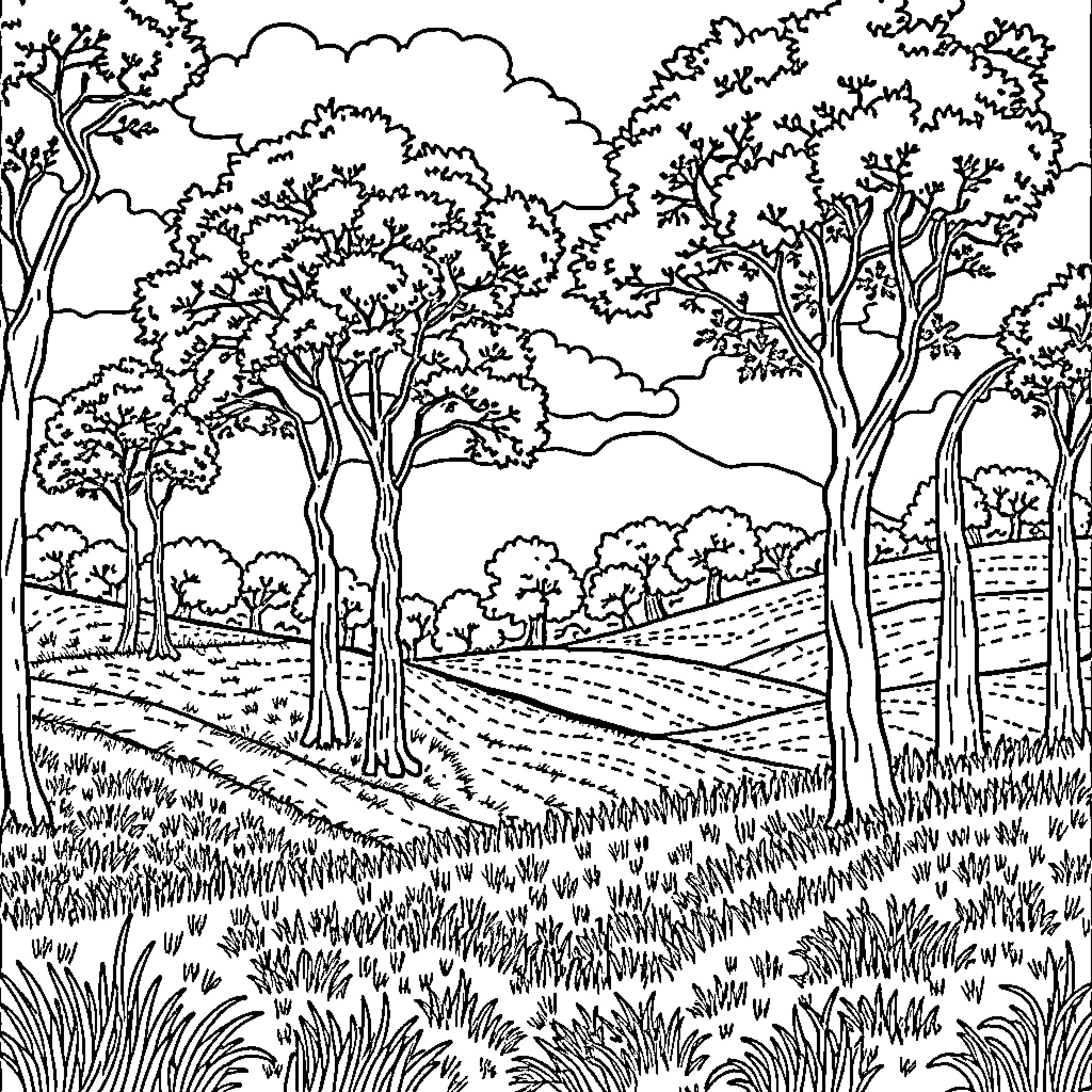 Earth's Enchanted Forest Landscape Coloring Page (free black-and-white line drawing printable PDF for all, from beginners to advanced learners, including children, teens, adults, and seniors)