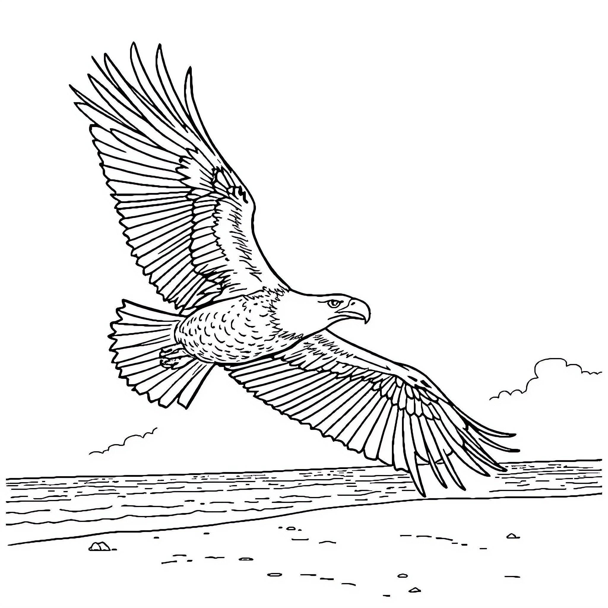 Eagle soaring gracefully over the ocean Coloring Page (free black-and-white line drawing printable PDF for all, from beginners to advanced learners, including children, teens, adults, and seniors)