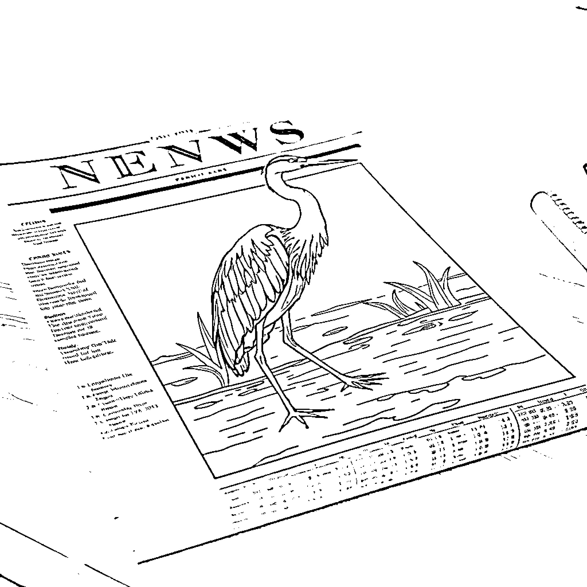 Heron standing in the newspaper Coloring Page (free black-and-white line drawing printable PDF for all, from beginners to advanced learners, including children, teens, adults, and seniors)