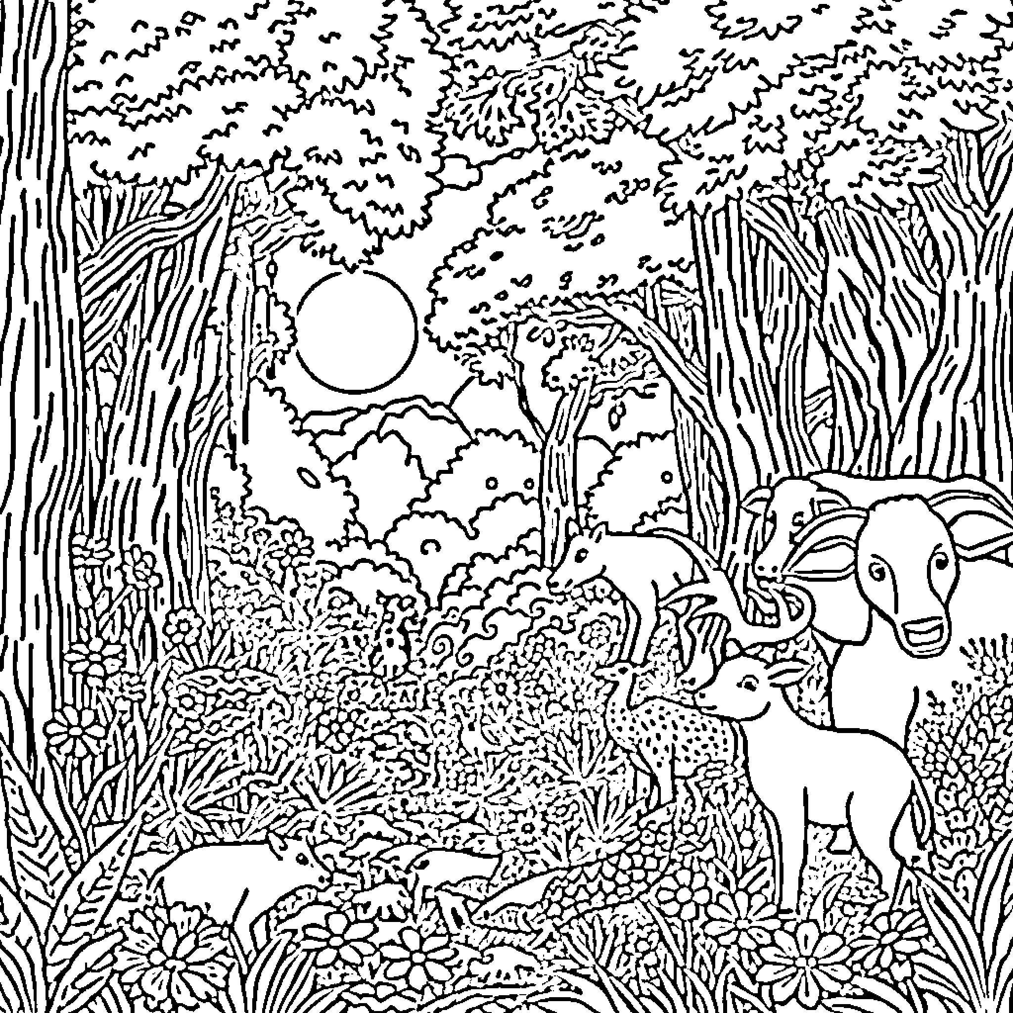 Adam's Peaceful Nature Sanctuary Coloring Page (free black-and-white line drawing printable PDF for all, from beginners to advanced learners, including children, teens, adults, and seniors)