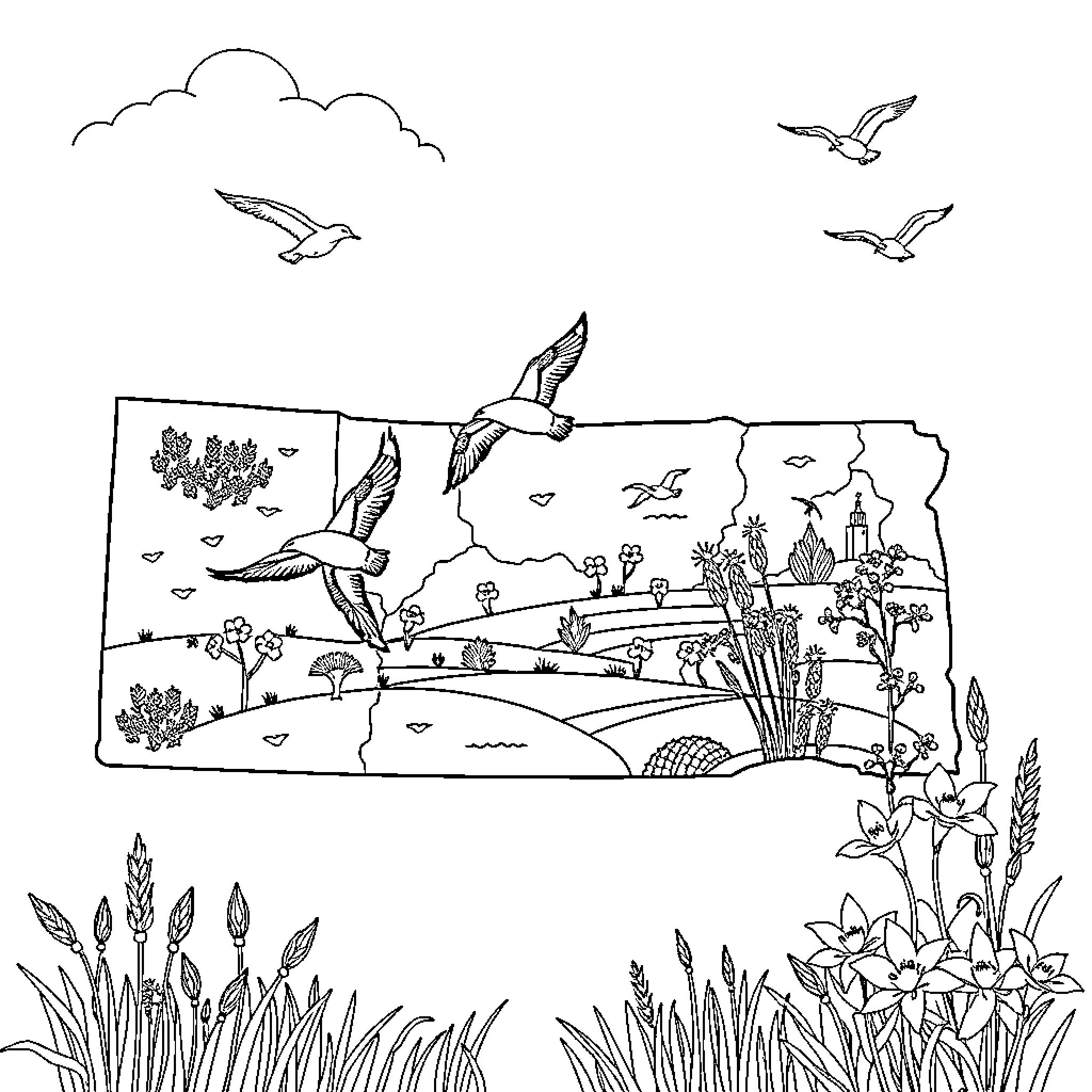 Saskatchewan Countryside with Soaring Birds and Blooming Flowers Coloring Page (free black-and-white line drawing printable PDF for all, from beginners to advanced learners, including children, teens, adults, and seniors)