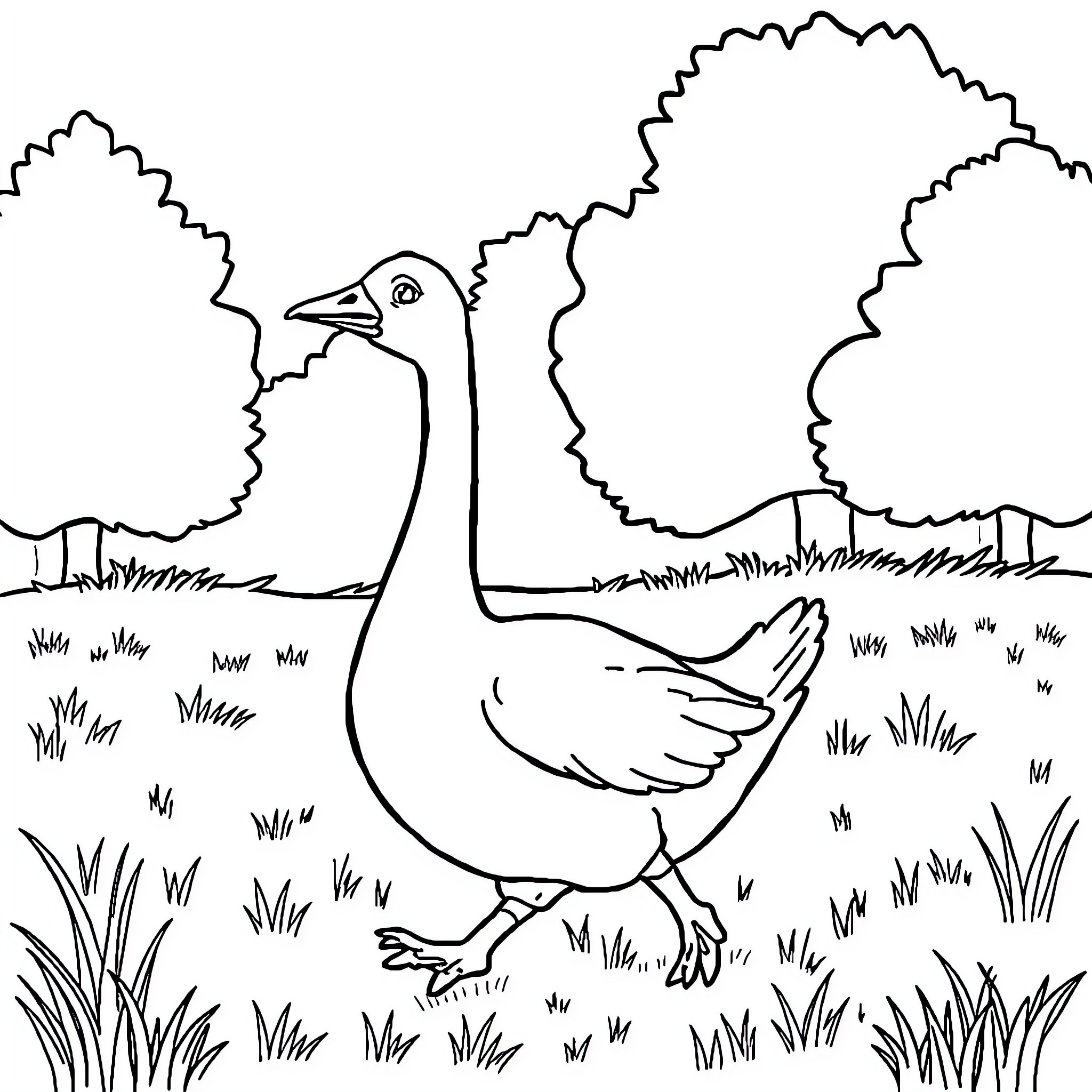 Goose walking in the grassy field Coloring Page (free black-and-white line drawing printable PDF for all, from beginners to advanced learners, including children, teens, adults, and seniors)