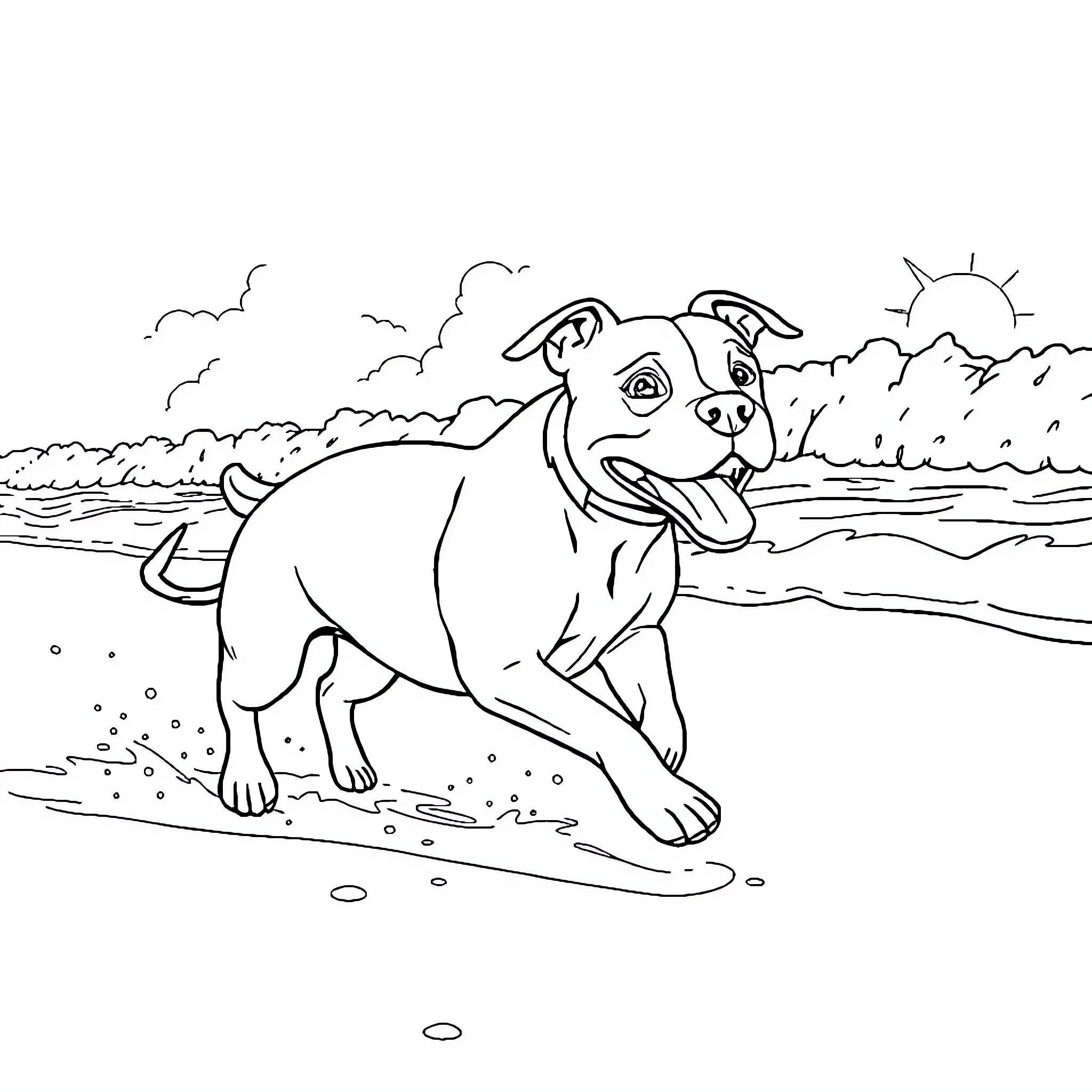 Pitbull happily running on the beach Coloring Page (free black-and-white line drawing printable PDF for all, from beginners to advanced learners, including children, teens, adults, and seniors)