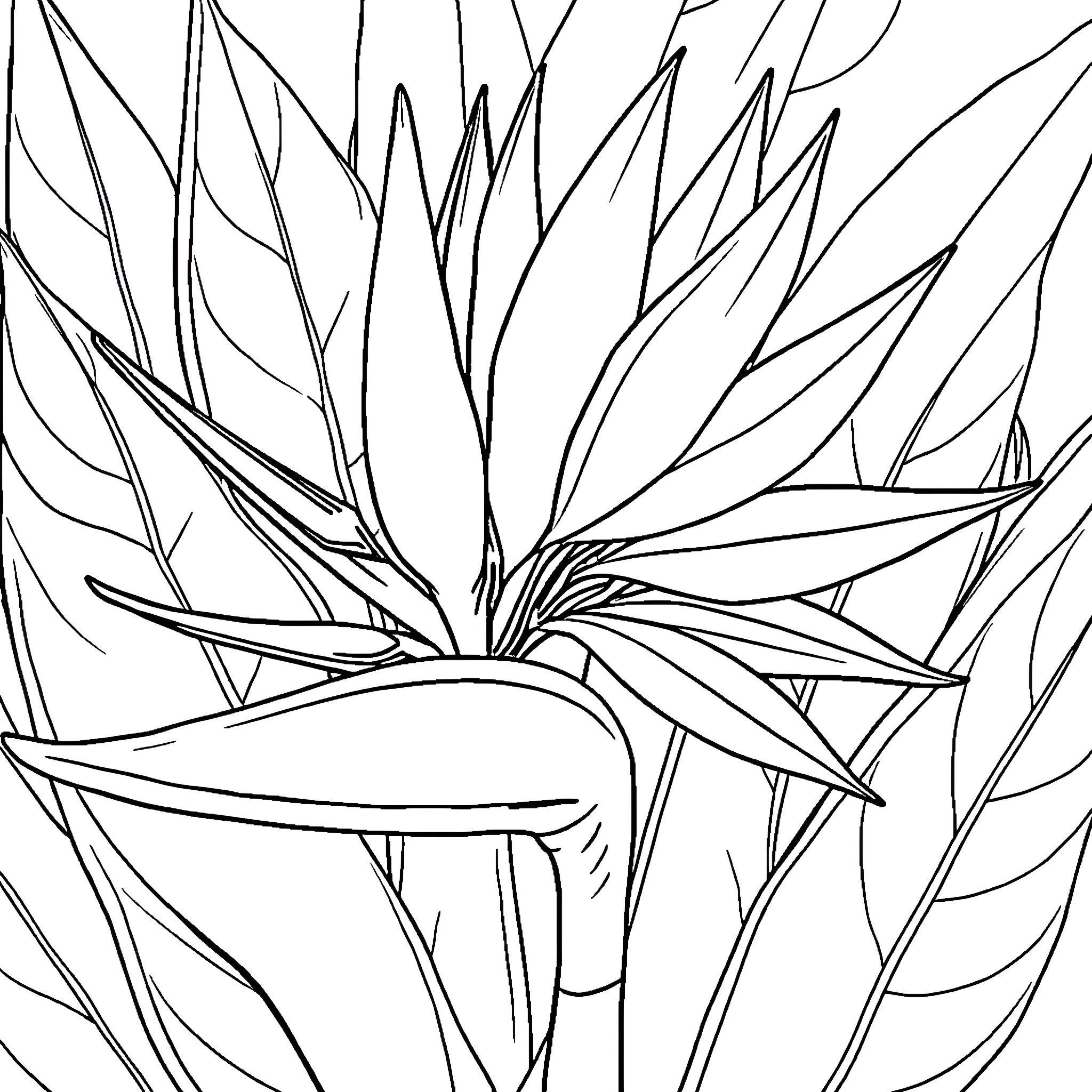 Bird of Paradise - Abstract Floral Sketch Coloring Page (free black-and-white line drawing printable PDF for all, from beginners to advanced learners, including children, teens, adults, and seniors)