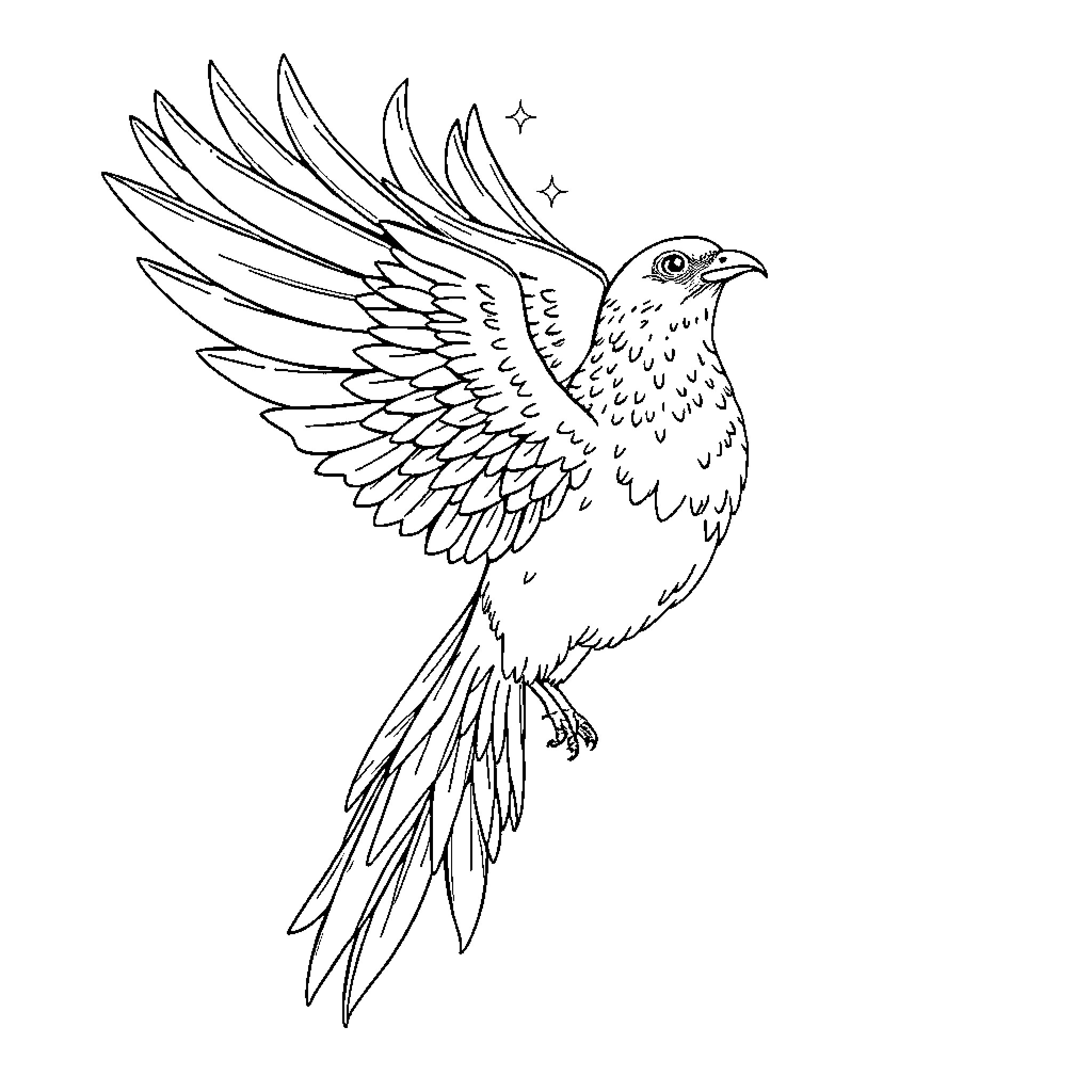 Phoenix in flight with detailed feathers Coloring Page (free black-and-white line drawing printable PDF for all, from beginners to advanced learners, including children, teens, adults, and seniors)