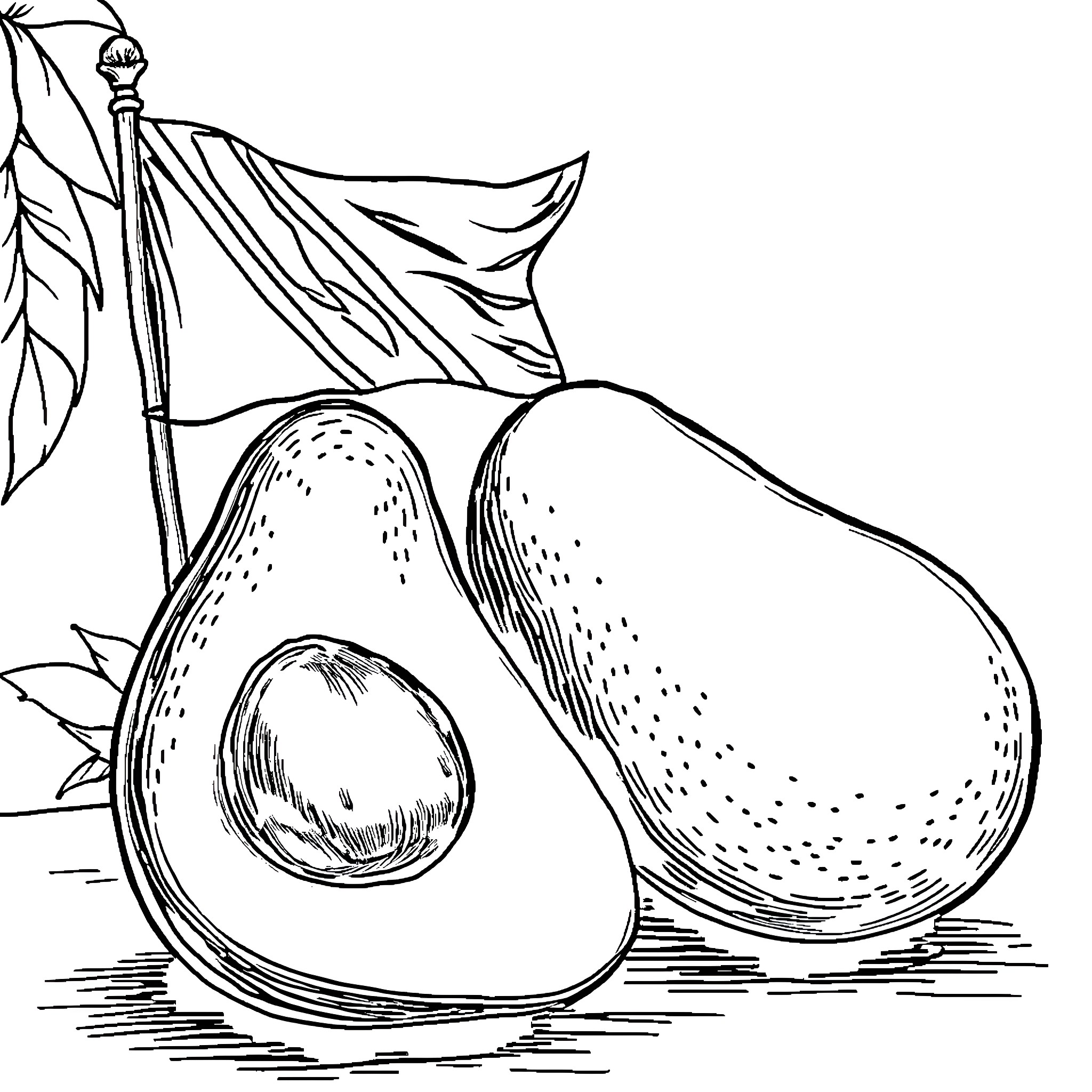 Avocado Sketch with Leaves and Flag Coloring Page (free black-and-white line drawing printable PDF for all, from beginners to advanced learners, including children, teens, adults, and seniors)