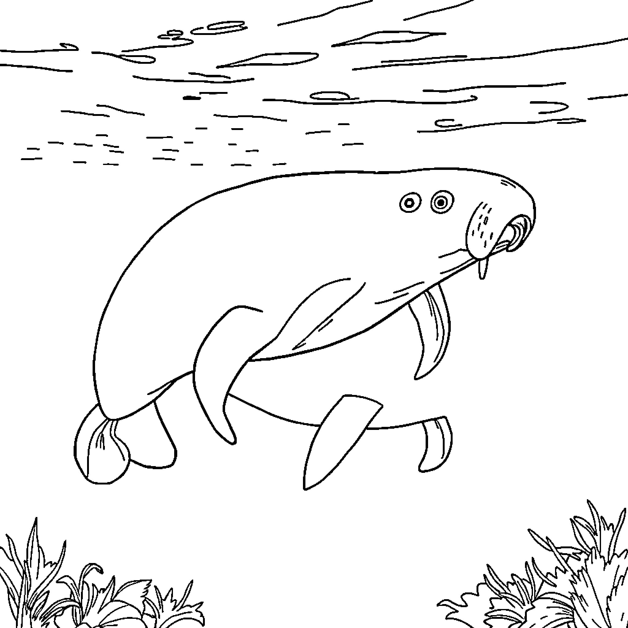 Manatee swimming peacefully in the underwater landscape Coloring Page (free black-and-white line drawing printable PDF for all, from beginners to advanced learners, including children, teens, adults, and seniors)