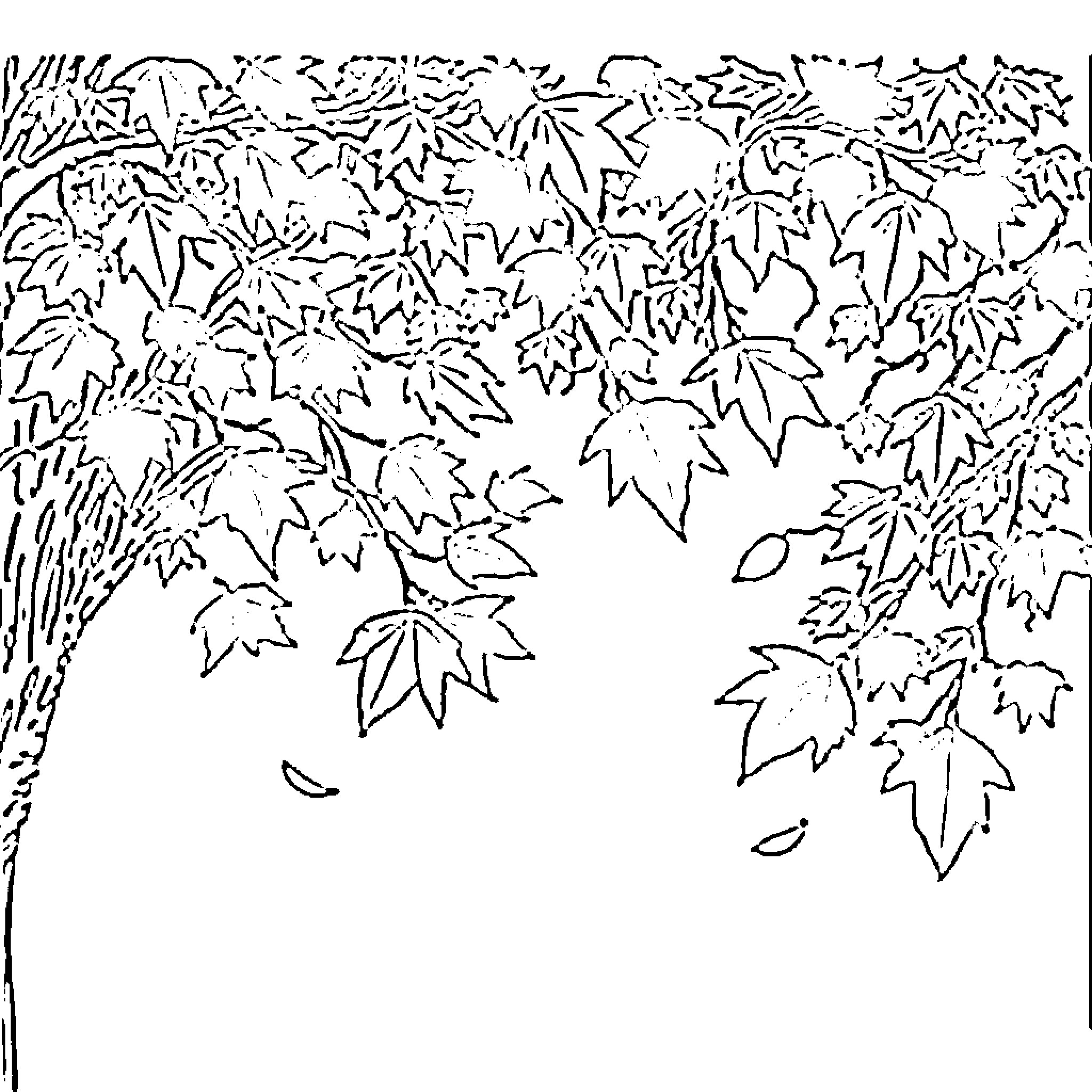 Leaf-covered forest scene with fallen leaves Coloring Page (free black-and-white line drawing printable PDF for all, from beginners to advanced learners, including children, teens, adults, and seniors)