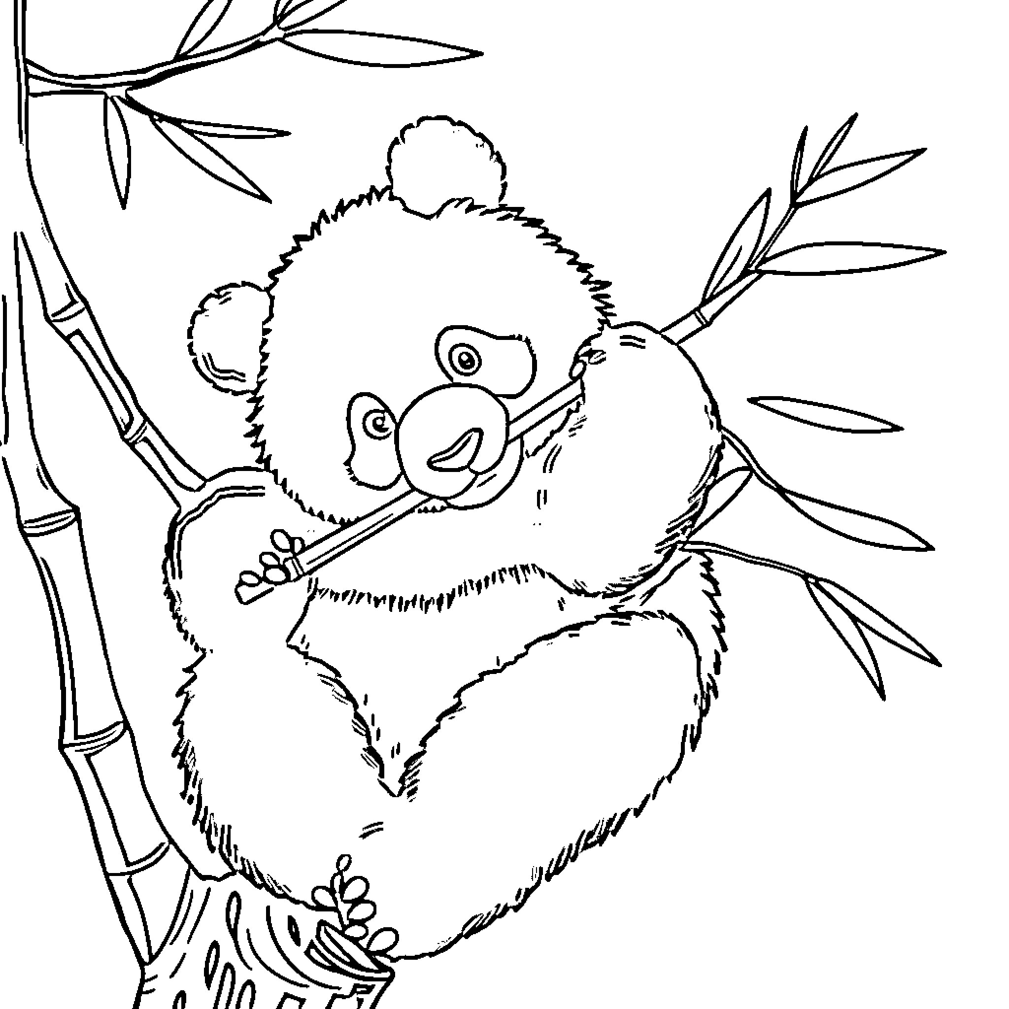 Panda clinging to bamboo branches Coloring Page (free black-and-white line drawing printable PDF for all, from beginners to advanced learners, including children, teens, adults, and seniors)