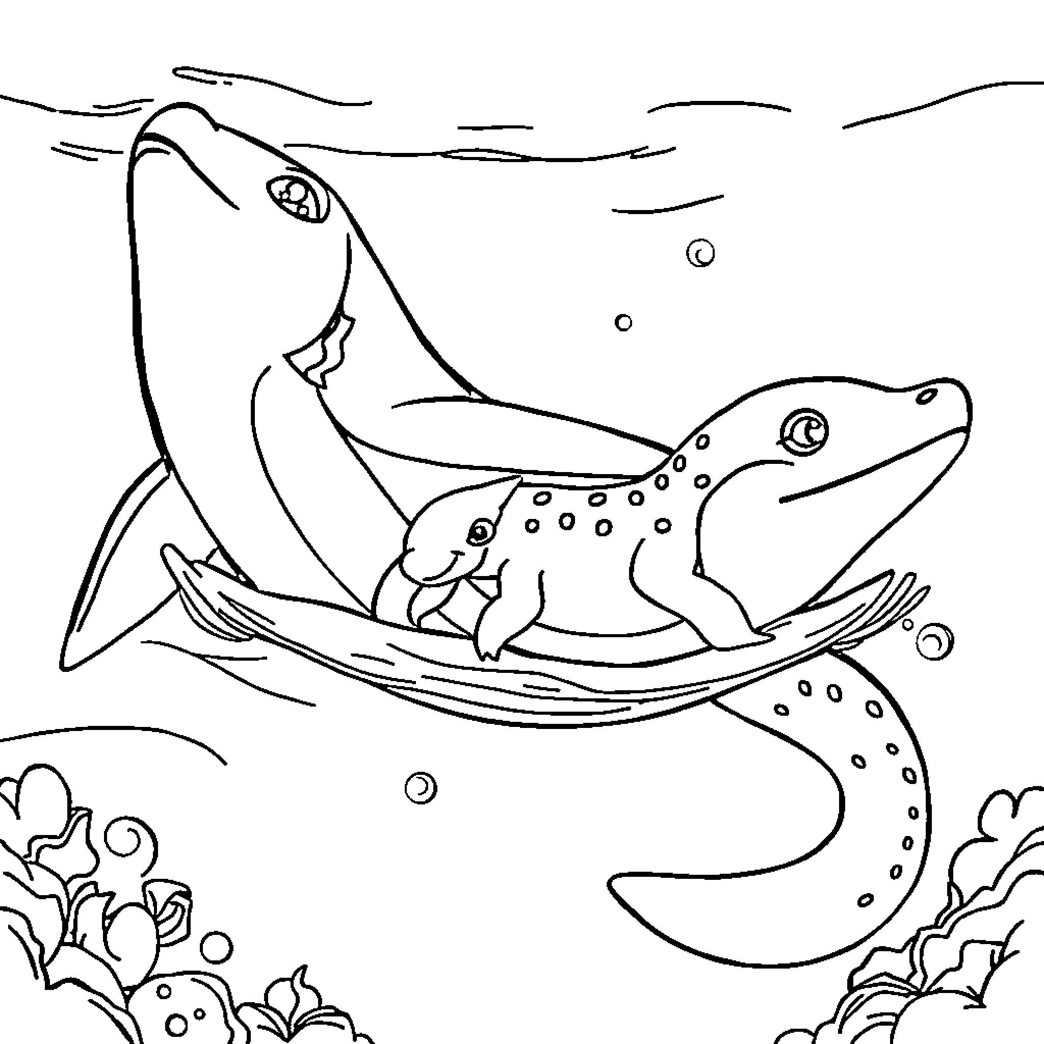 Yacaré swimming gracefully in the underwater scene Coloring Page (free black-and-white line drawing printable PDF for all, from beginners to advanced learners, including children, teens, adults, and seniors)