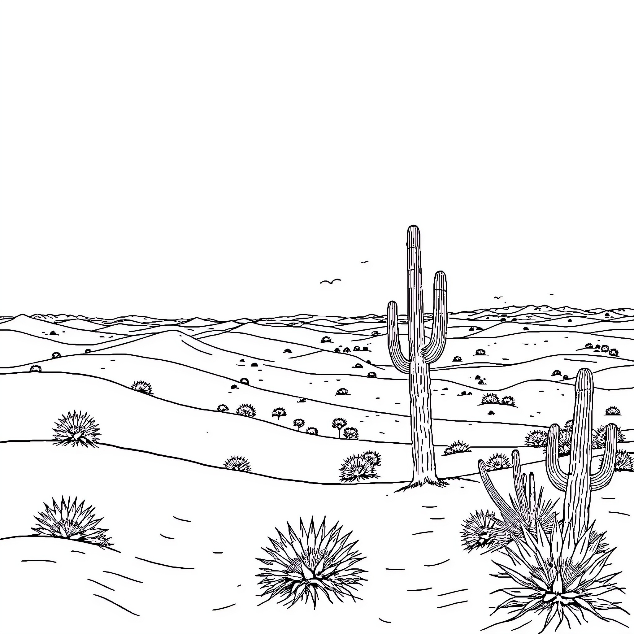 Desert landscape with cacti and hills Coloring Page (free black-and-white line drawing printable PDF for all, from beginners to advanced learners, including children, teens, adults, and seniors)