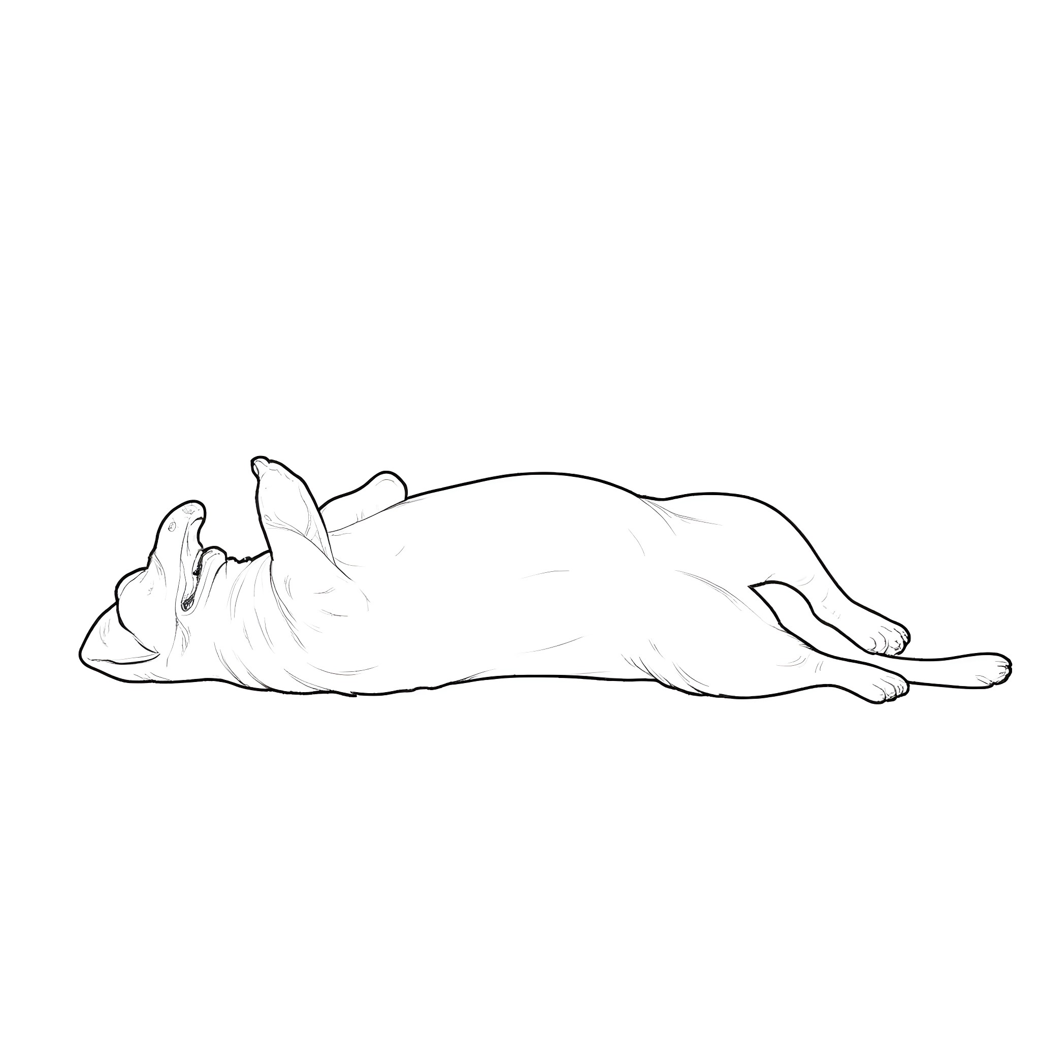 Labrador sleeping peacefully on the floor Coloring Page (free black-and-white line drawing printable PDF for all, from beginners to advanced learners, including children, teens, adults, and seniors)