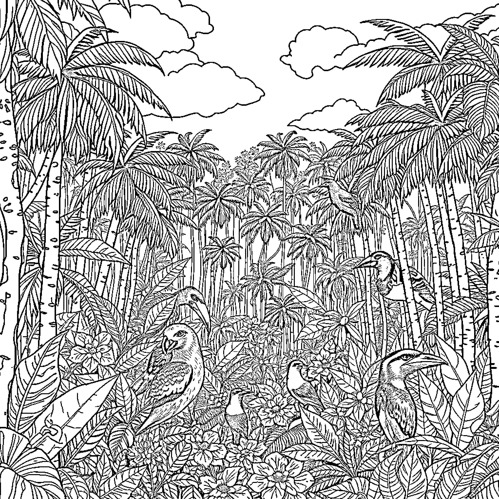 Amazon tropical rainforest with diverse wildlife Coloring Page (free black-and-white line drawing printable PDF for all, from beginners to advanced learners, including children, teens, adults, and seniors)