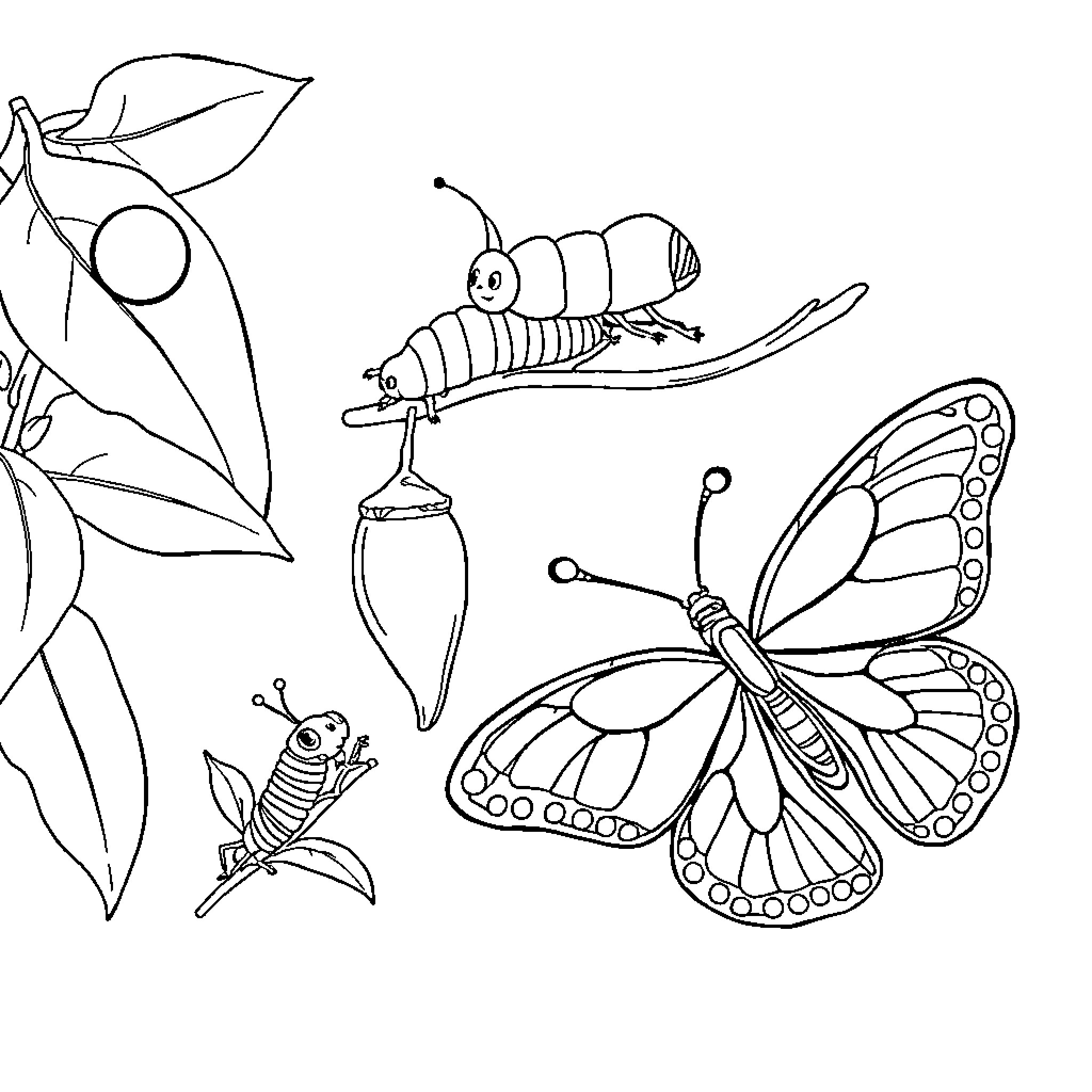 Butterfly Creatures in Artistic Illustration Coloring Page (free black-and-white line drawing printable PDF for all, from beginners to advanced learners, including children, teens, adults, and seniors)