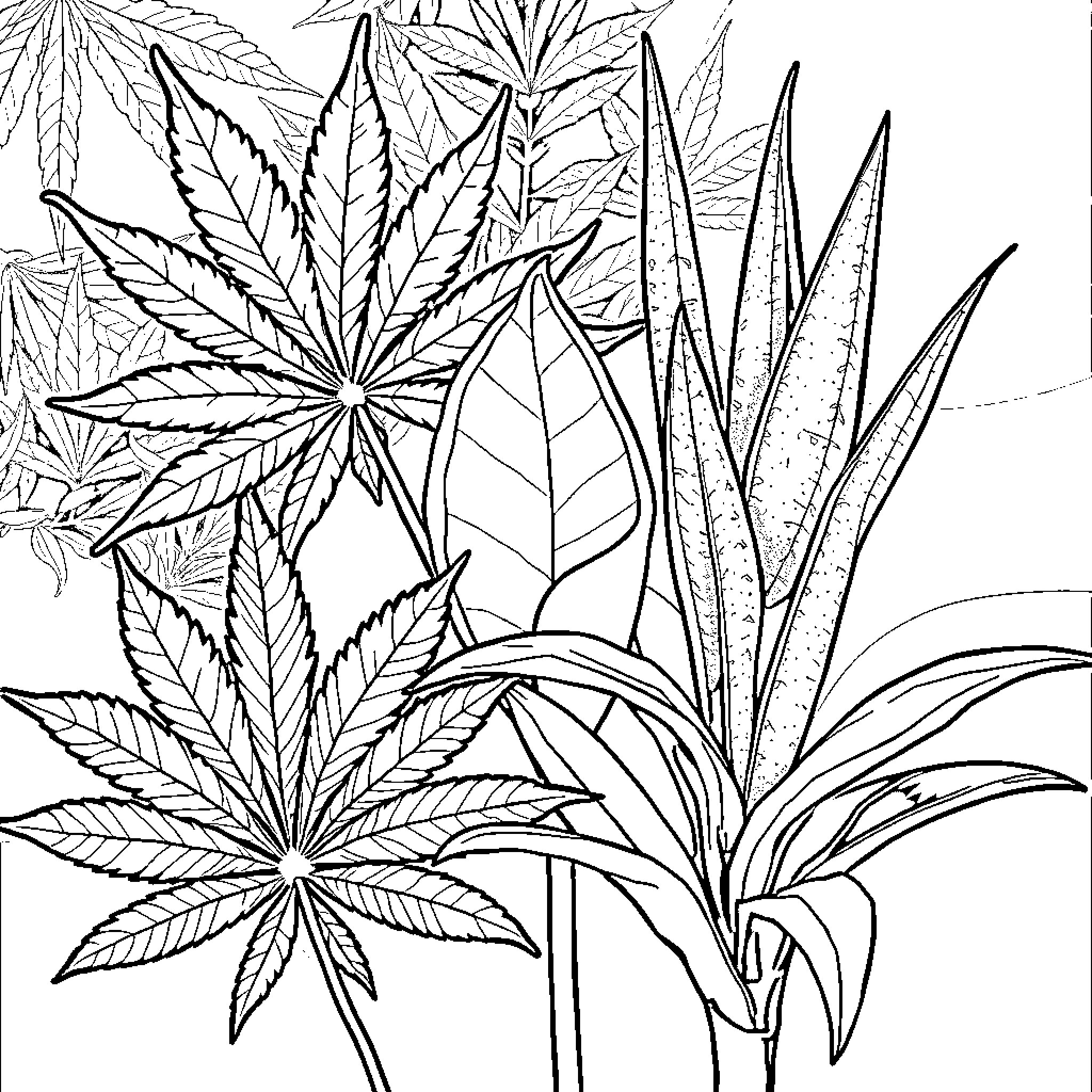 Plant leaves and foliage patterns Coloring Page (free black-and-white line drawing printable PDF for all, from beginners to advanced learners, including children, teens, adults, and seniors)