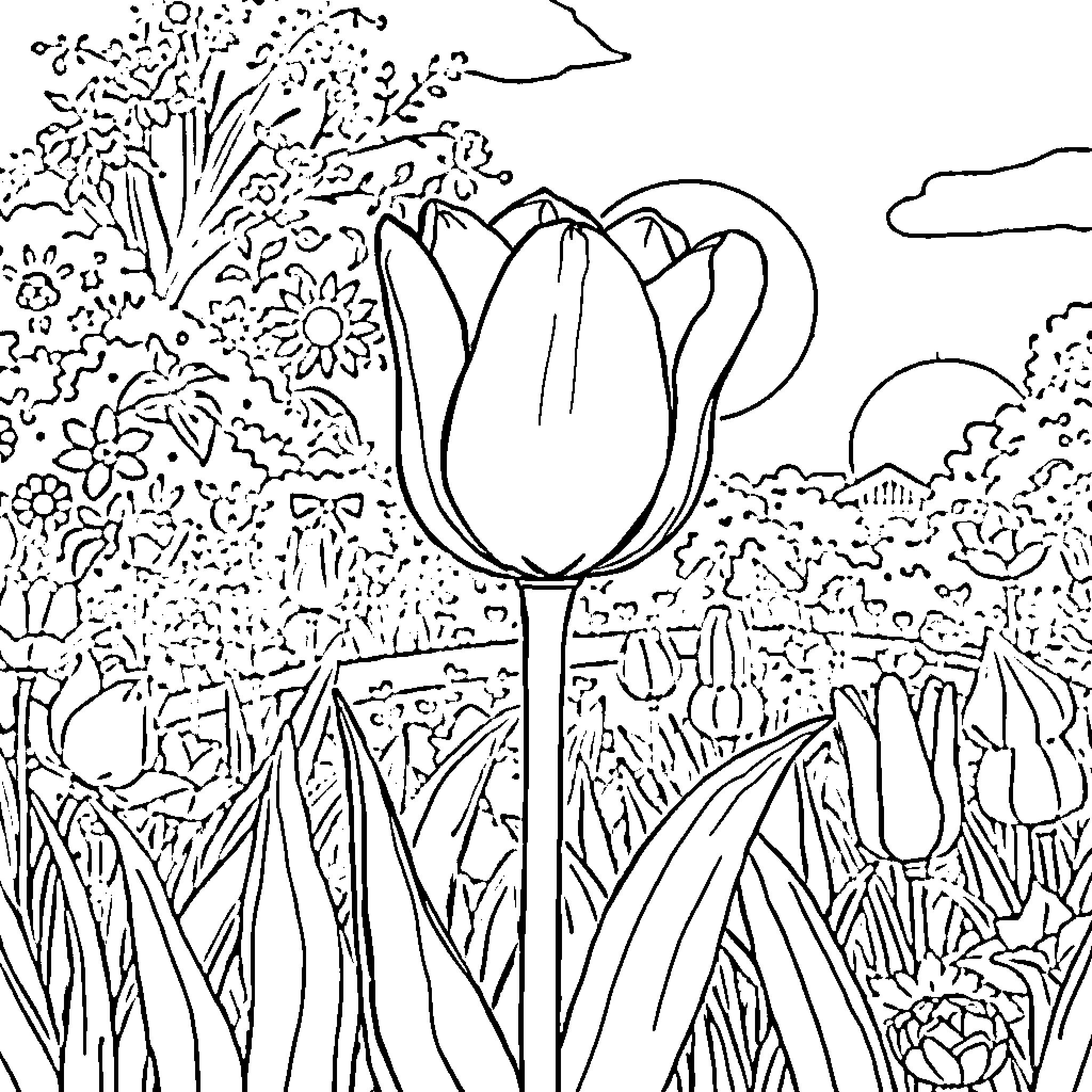 Tulip blooming amidst vibrant floral garden Coloring Page (free black-and-white line drawing printable PDF for all, from beginners to advanced learners, including children, teens, adults, and seniors)