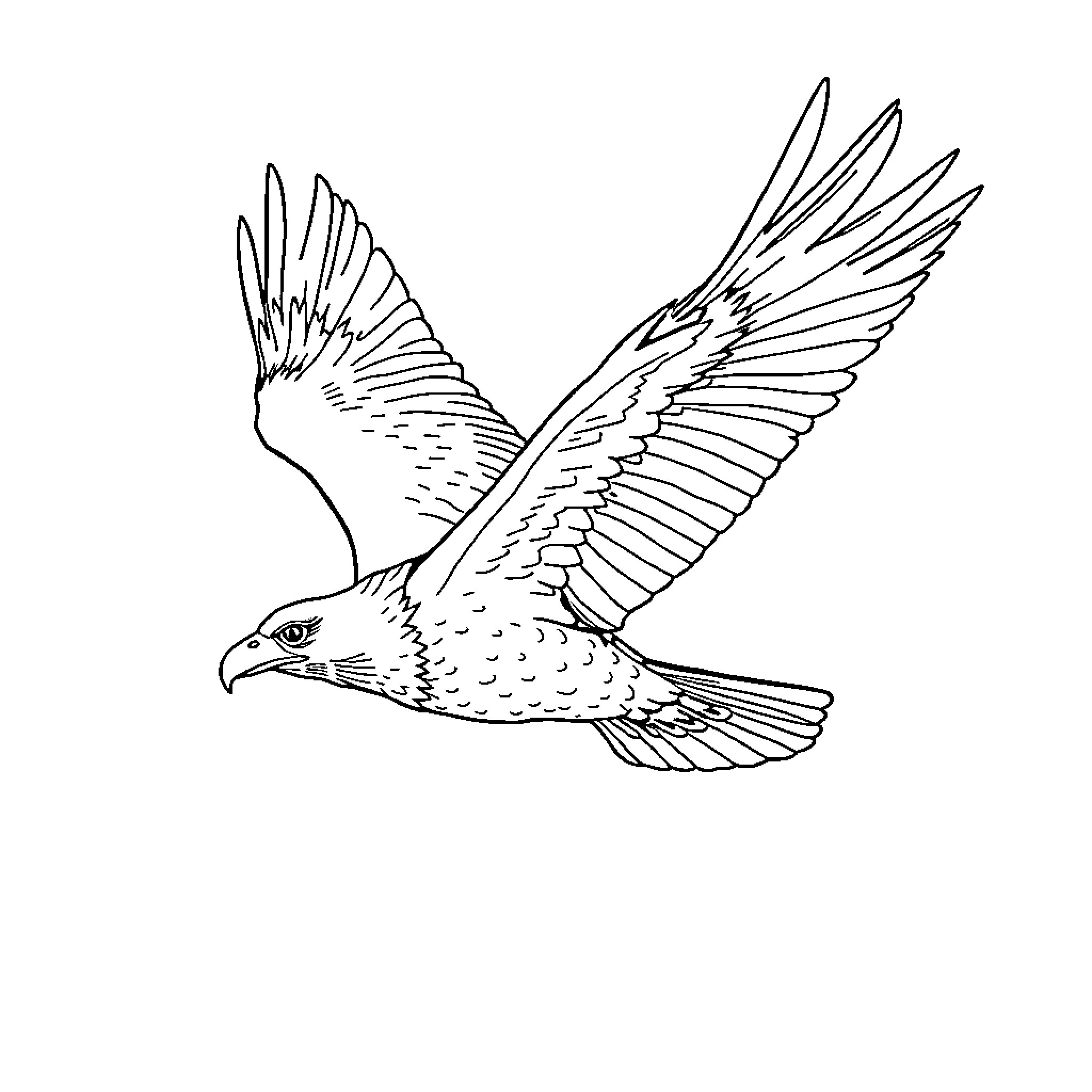 Eagle soaring with outstretched wings Coloring Page (free black-and-white line drawing printable PDF for all, from beginners to advanced learners, including children, teens, adults, and seniors)