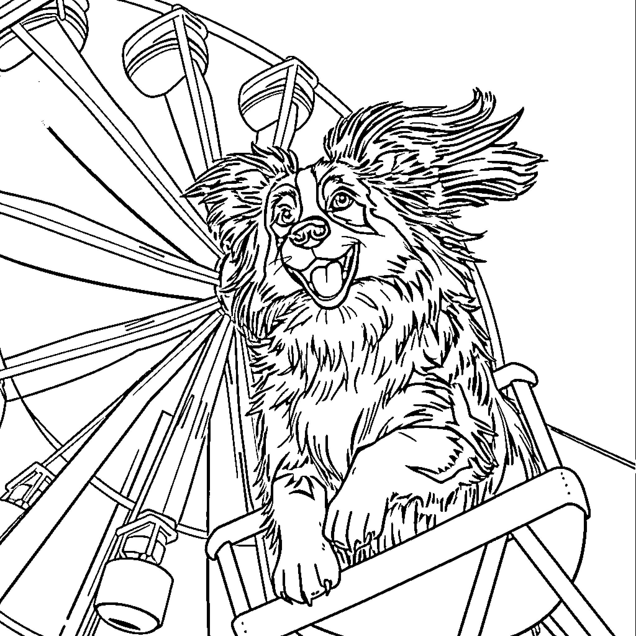 Australian Shepherd joyfully playing in the sunlight Coloring Page (free black-and-white line drawing printable PDF for all, from beginners to advanced learners, including children, teens, adults, and seniors)