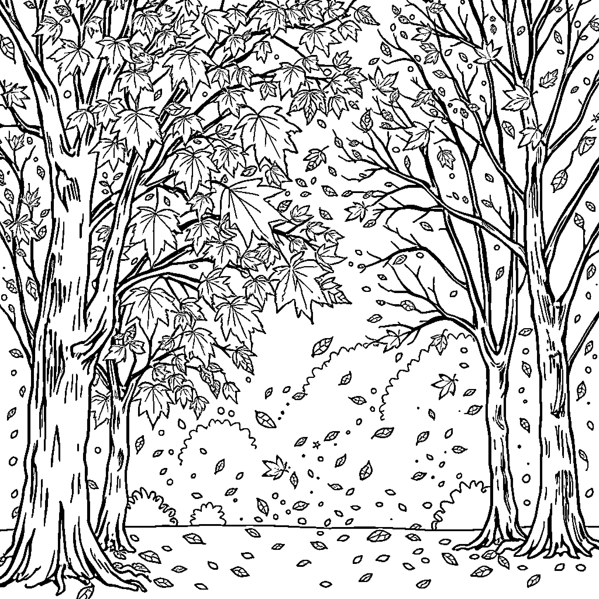 Leaf-covered Path through Autumn Woodland Coloring Page (free black-and-white line drawing printable PDF for all, from beginners to advanced learners, including children, teens, adults, and seniors)