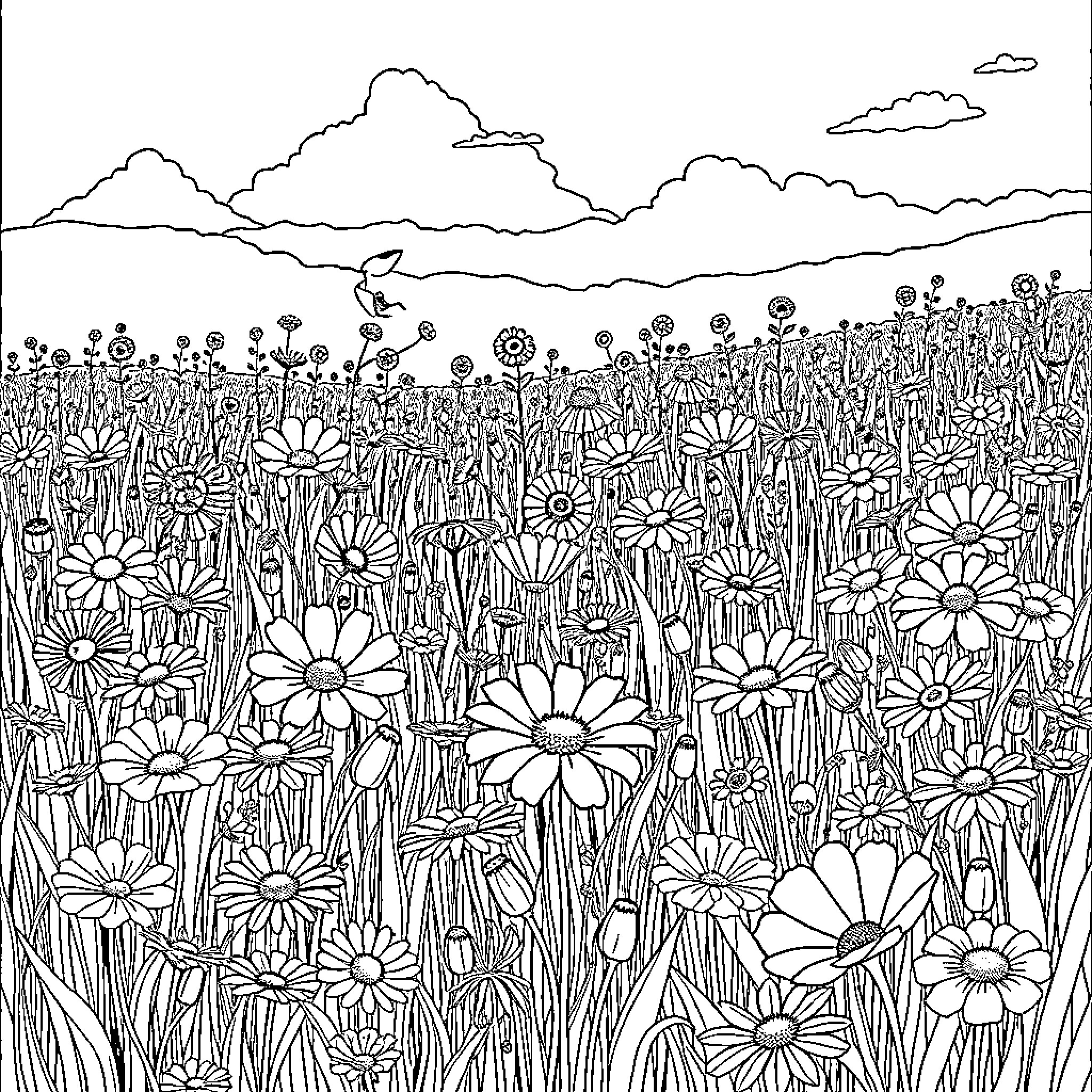 Wildflower field with whimsical shapes in the sky Coloring Page (free black-and-white line drawing printable PDF for all, from beginners to advanced learners, including children, teens, adults, and seniors)