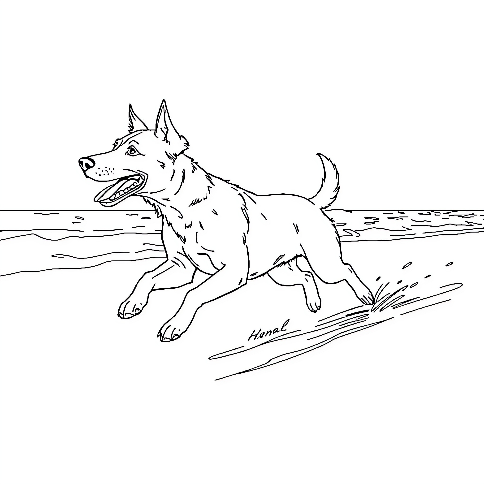 Dog running playfully on the beach Coloring Page (free black-and-white line drawing printable PDF for all, from beginners to advanced learners, including children, teens, adults, and seniors)