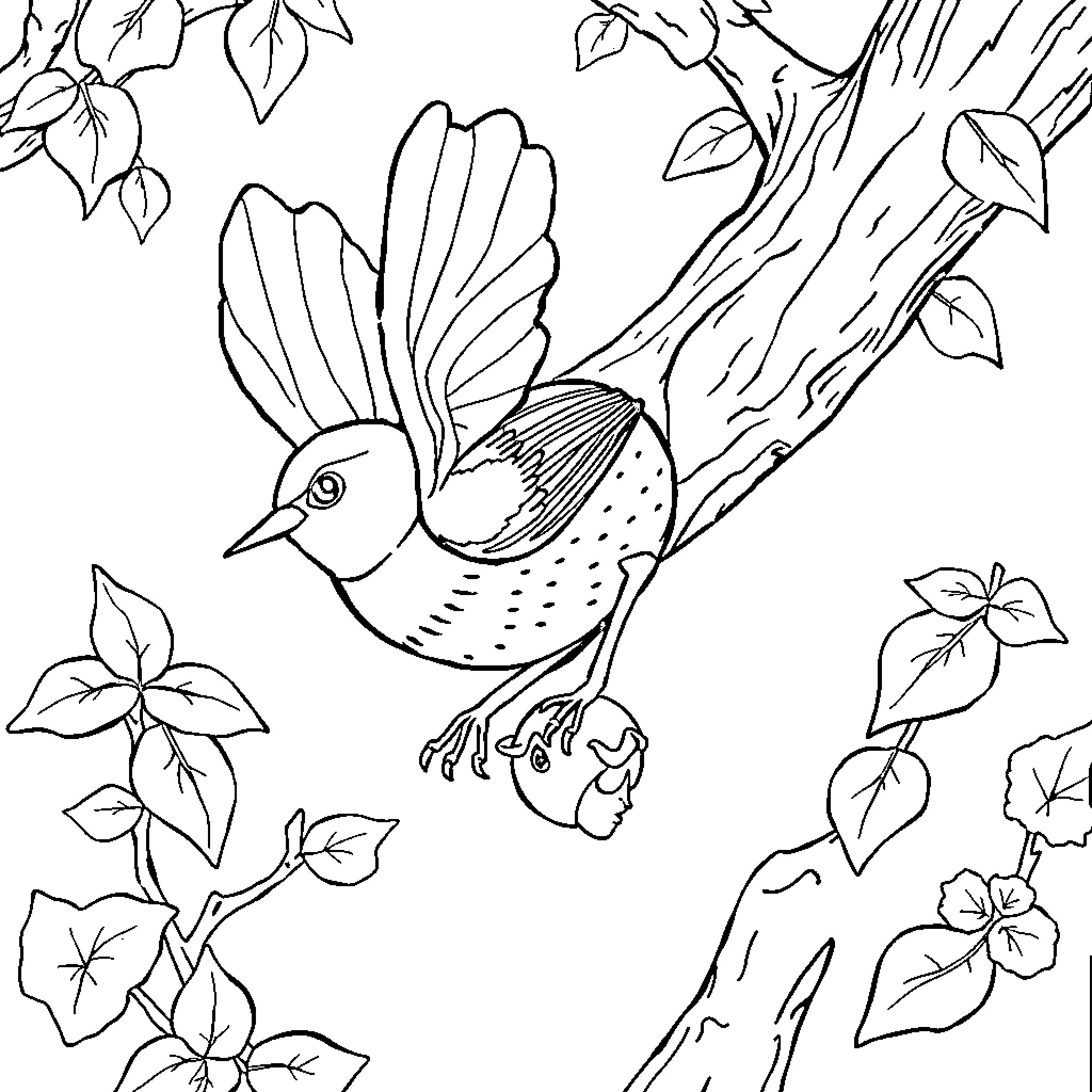 Robin Hood's bird friend in the forest Coloring Page (free black-and-white line drawing printable PDF for all, from beginners to advanced learners, including children, teens, adults, and seniors)