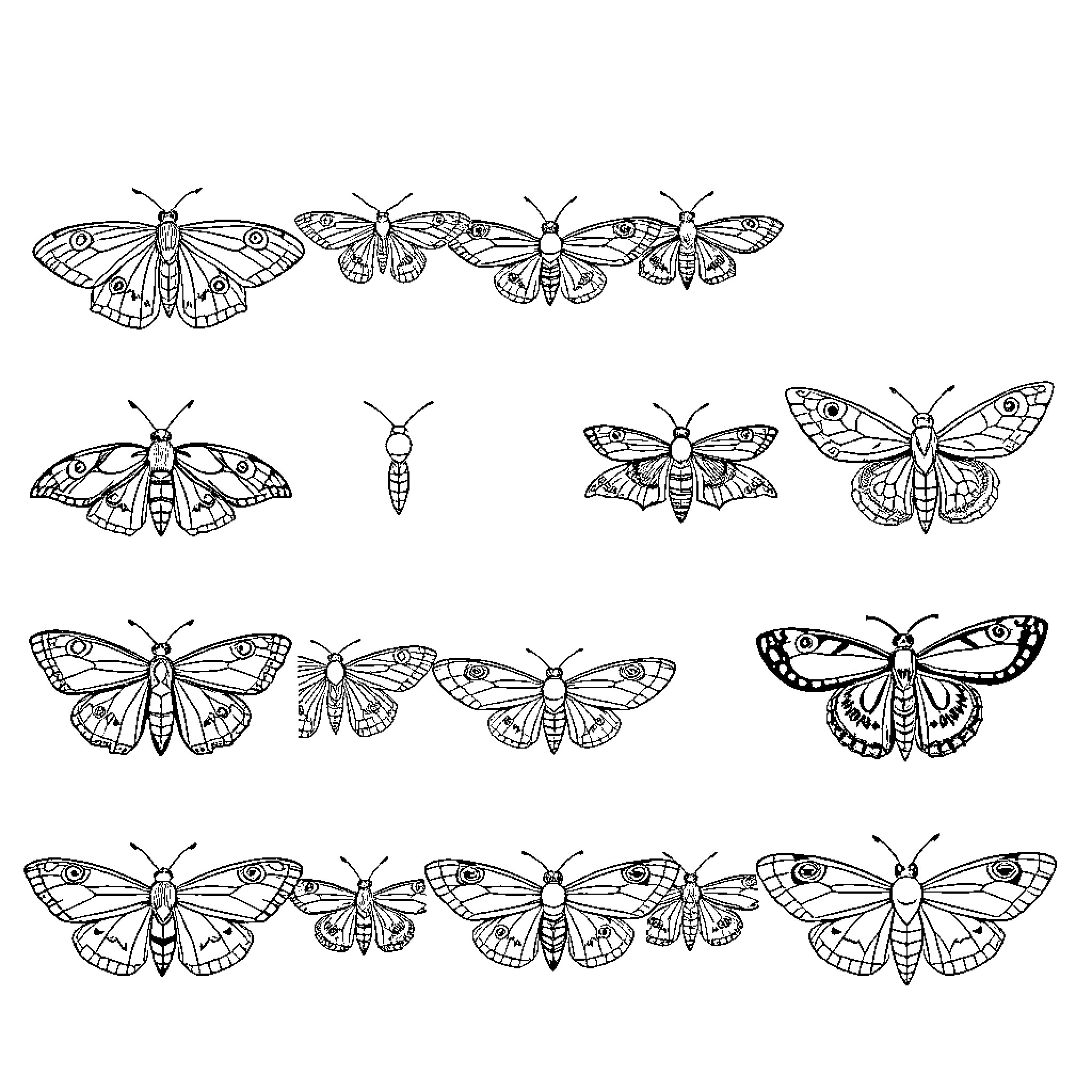 Moth species diversity and patterned wings Coloring Page (free black-and-white line drawing printable PDF for all, from beginners to advanced learners, including children, teens, adults, and seniors)